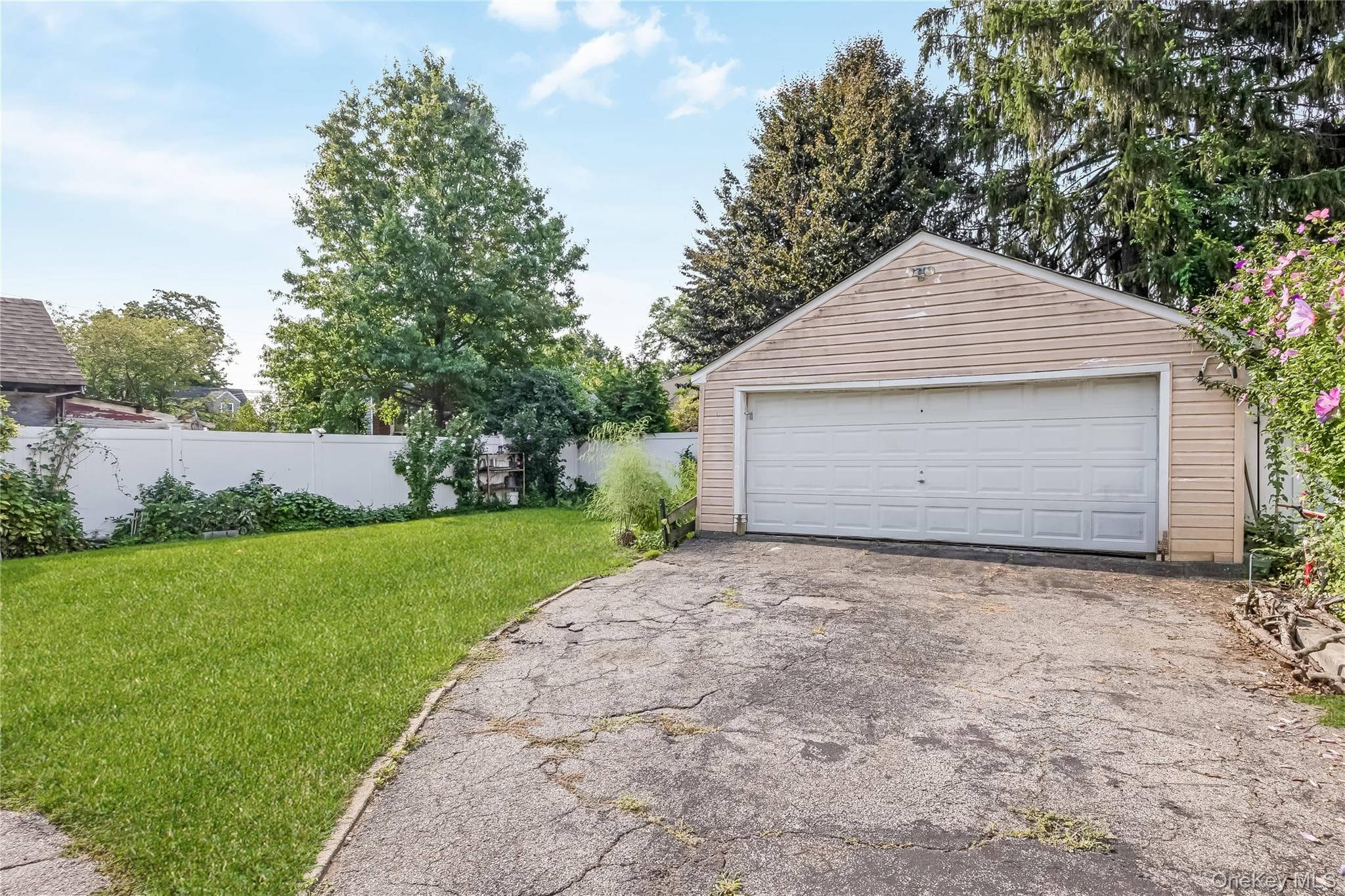 442 Cedar Street thumbnail 24