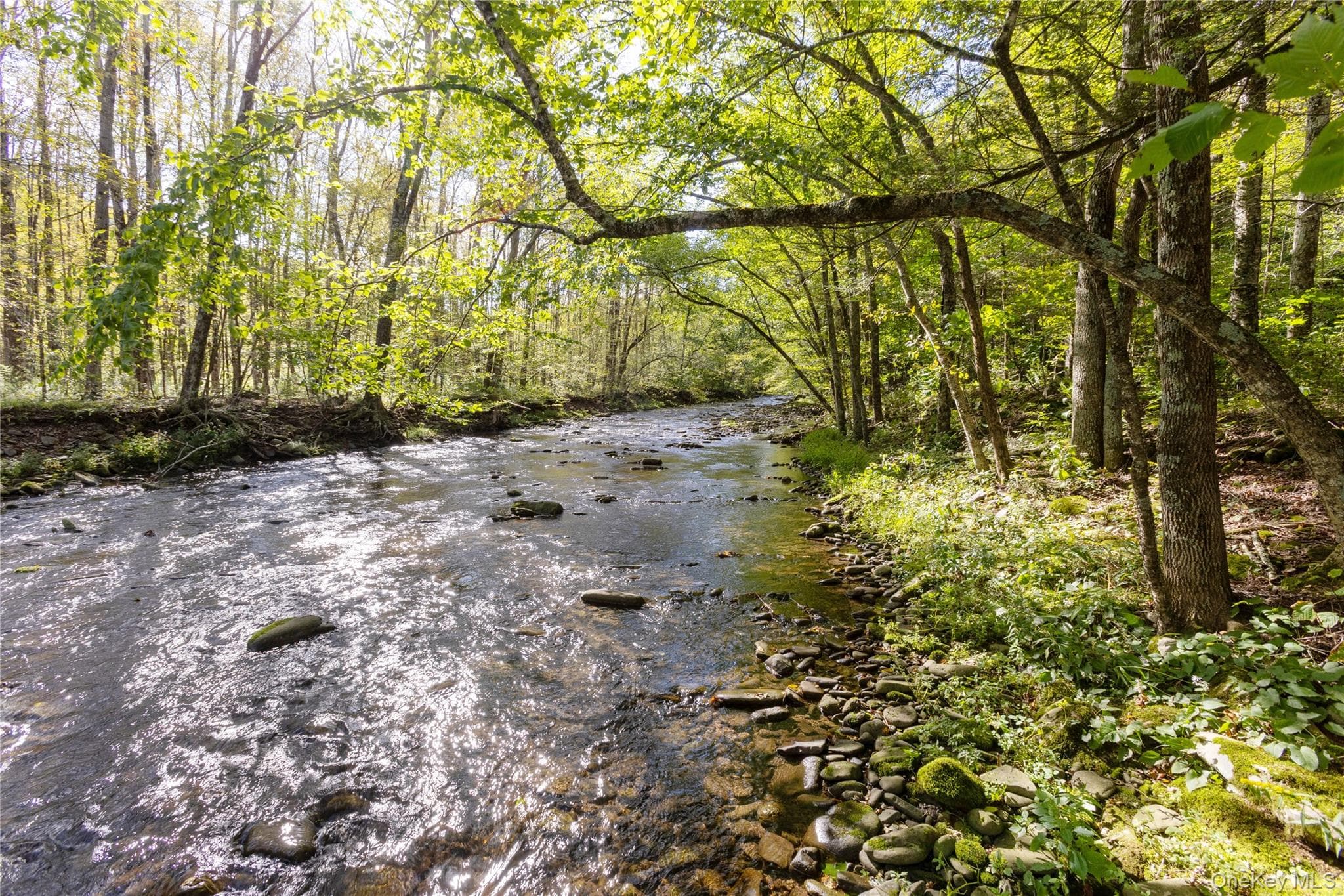 123 Maben Hollow Road thumbnail 14