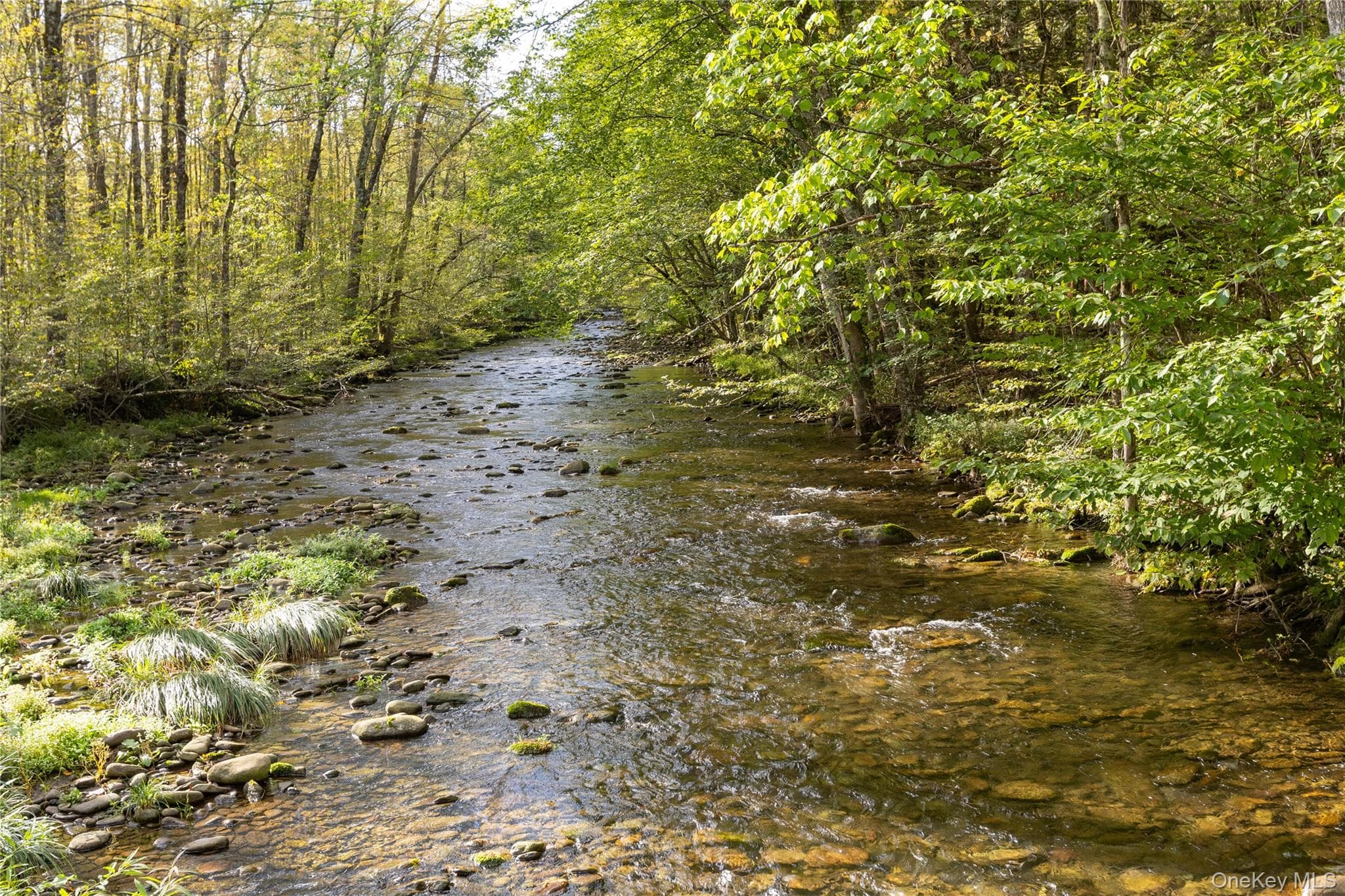 123 Maben Hollow Road thumbnail 13
