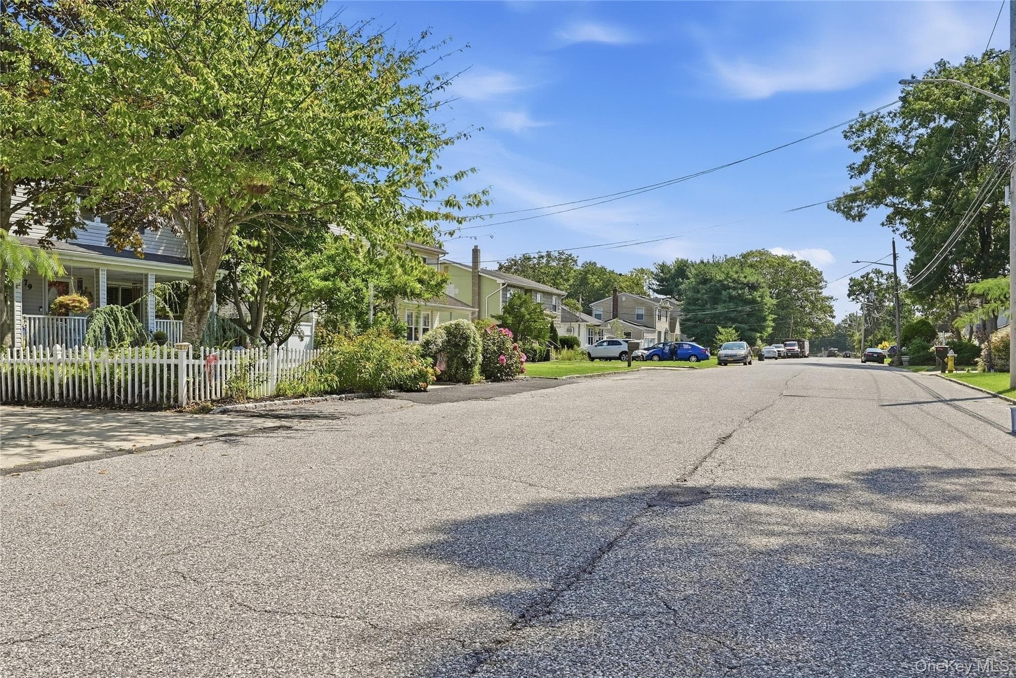 Coates Avenue thumbnail 2