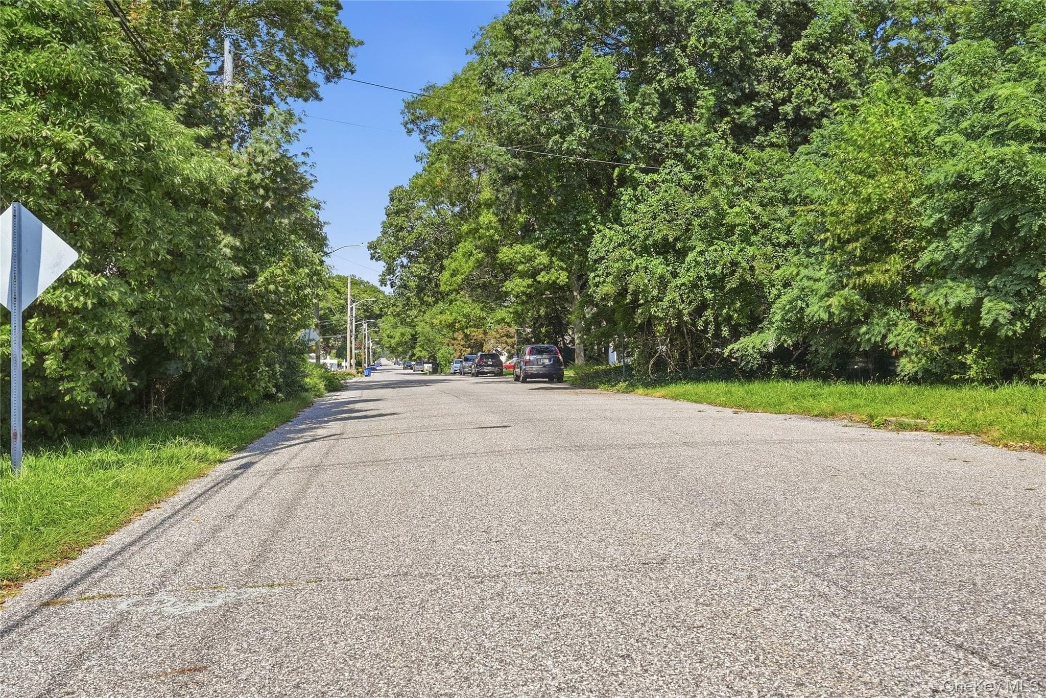 Coates Avenue thumbnail 3