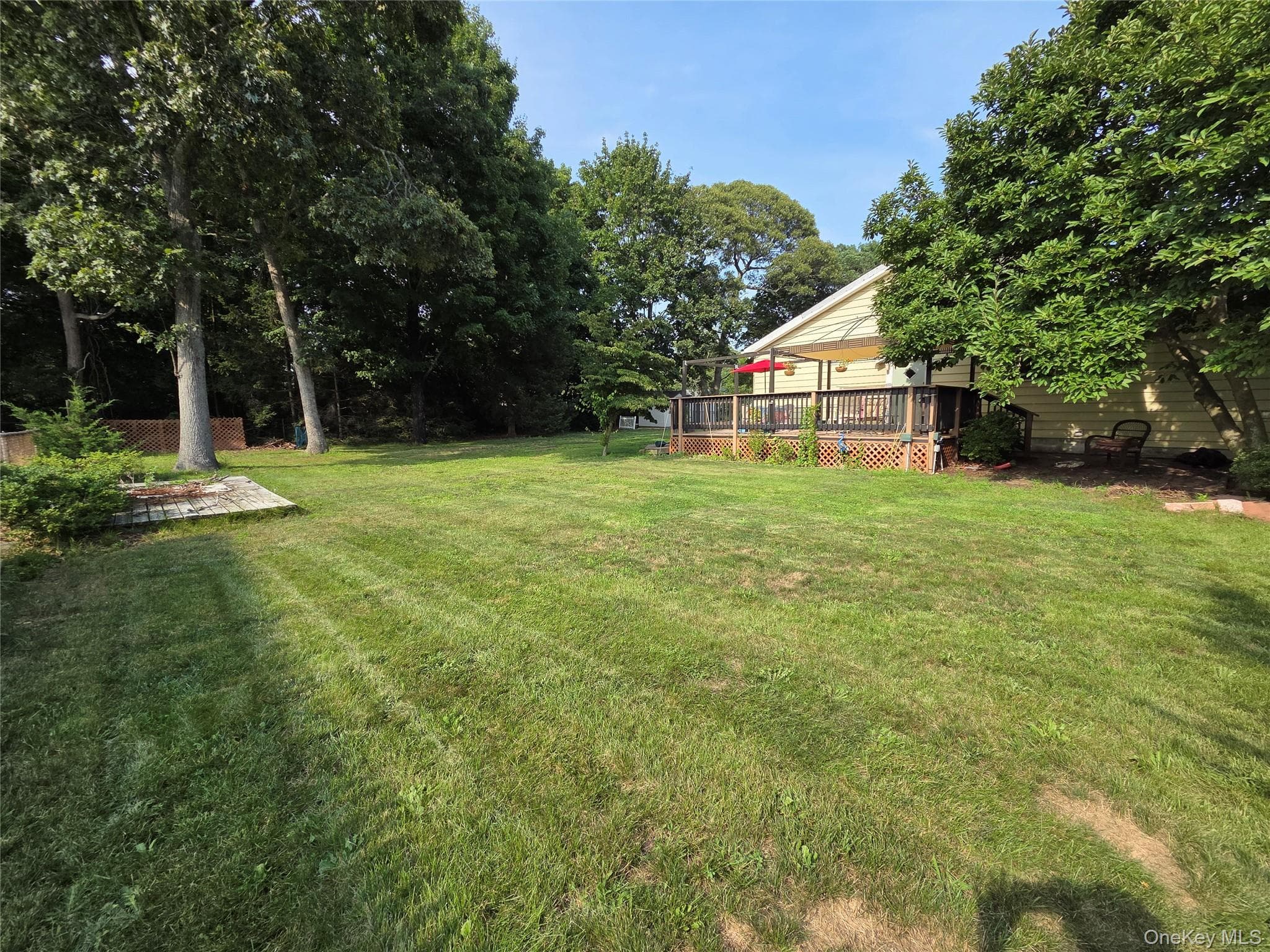 33 Elmwood Avenue thumbnail 41