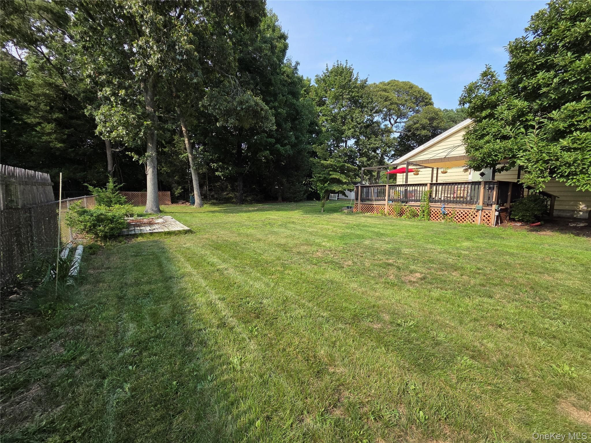 33 Elmwood Avenue thumbnail 40