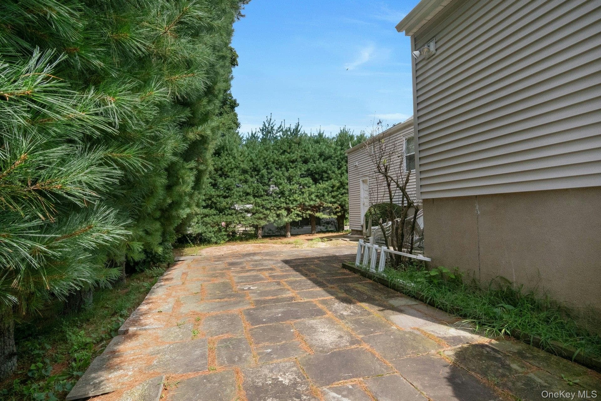 263 Pythian Avenue thumbnail 17