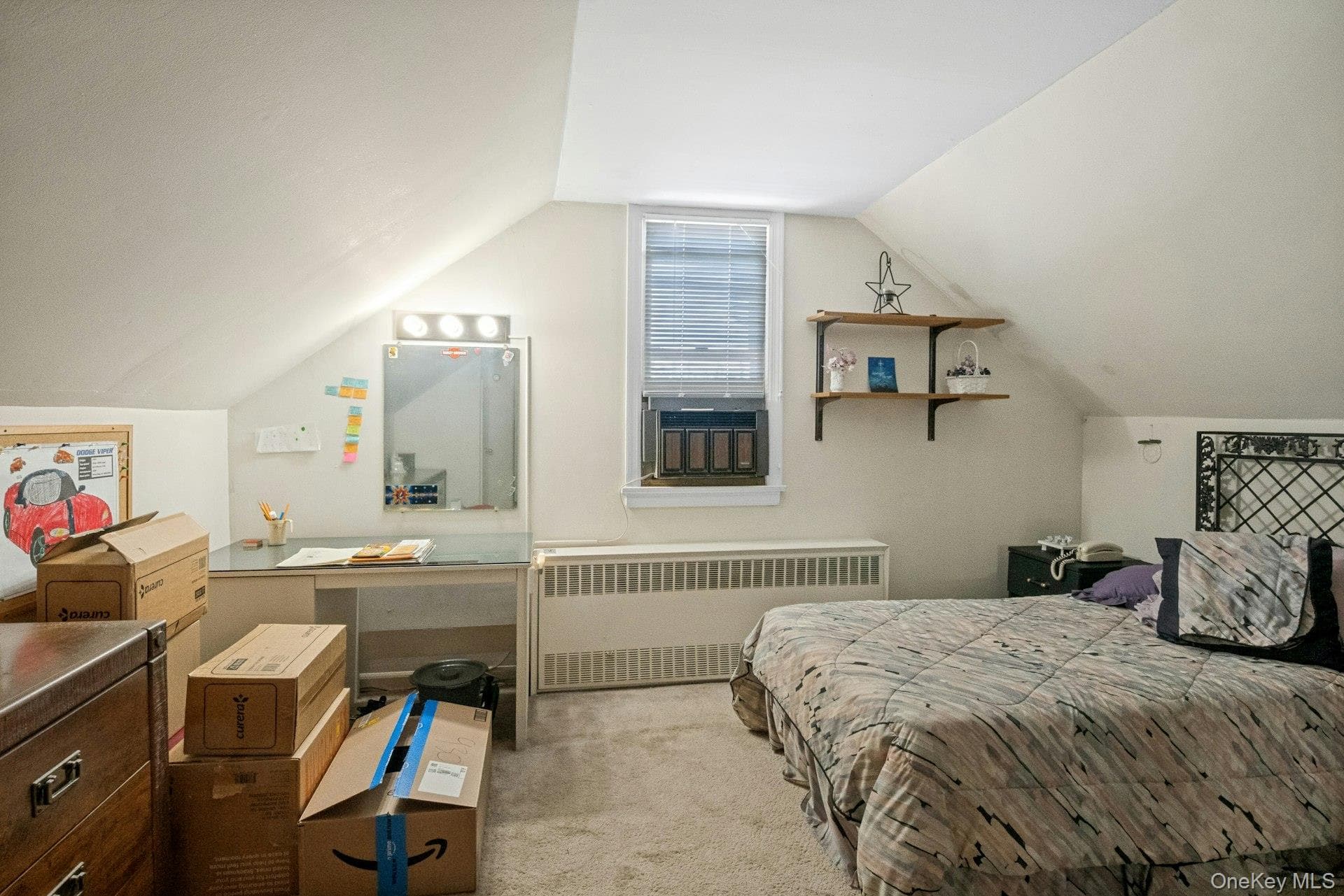 263 Pythian Avenue thumbnail 10