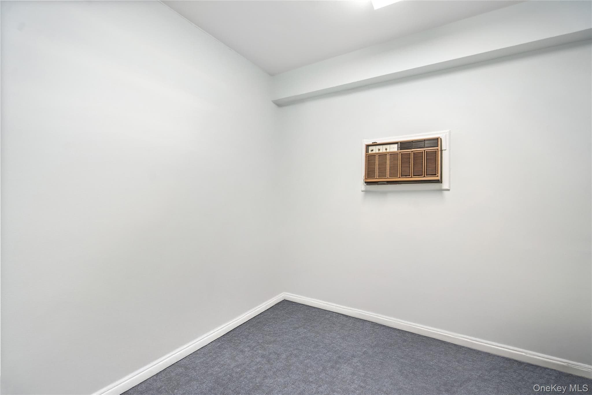 200 N Village Avenue Unit: 100 thumbnail 18