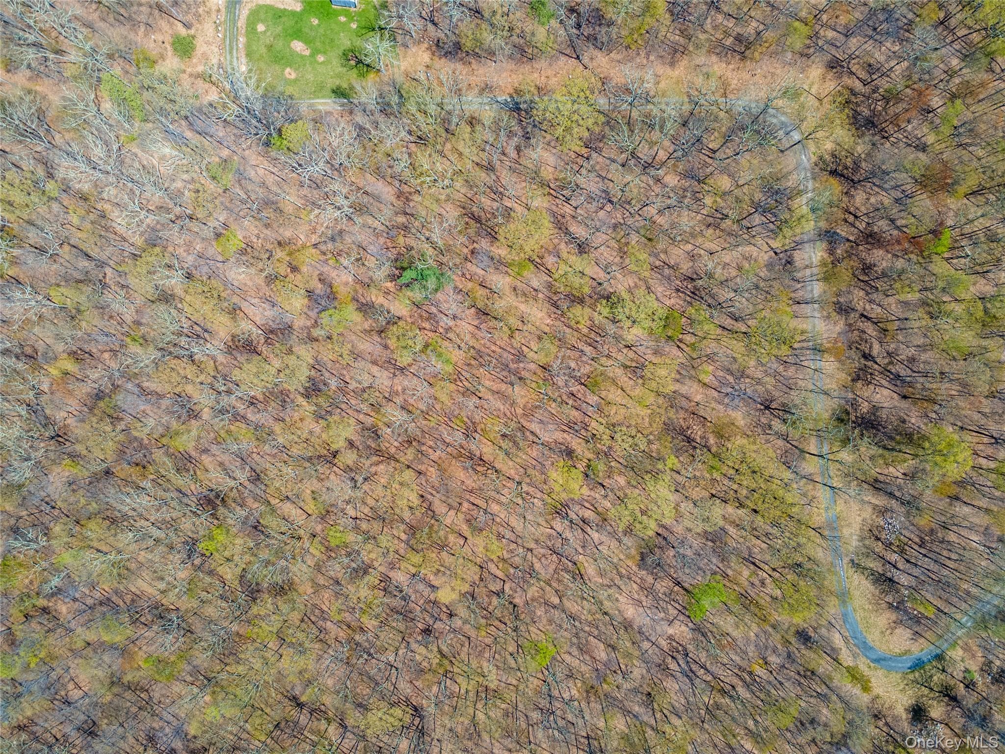 tbd Forest Glen Road thumbnail 4