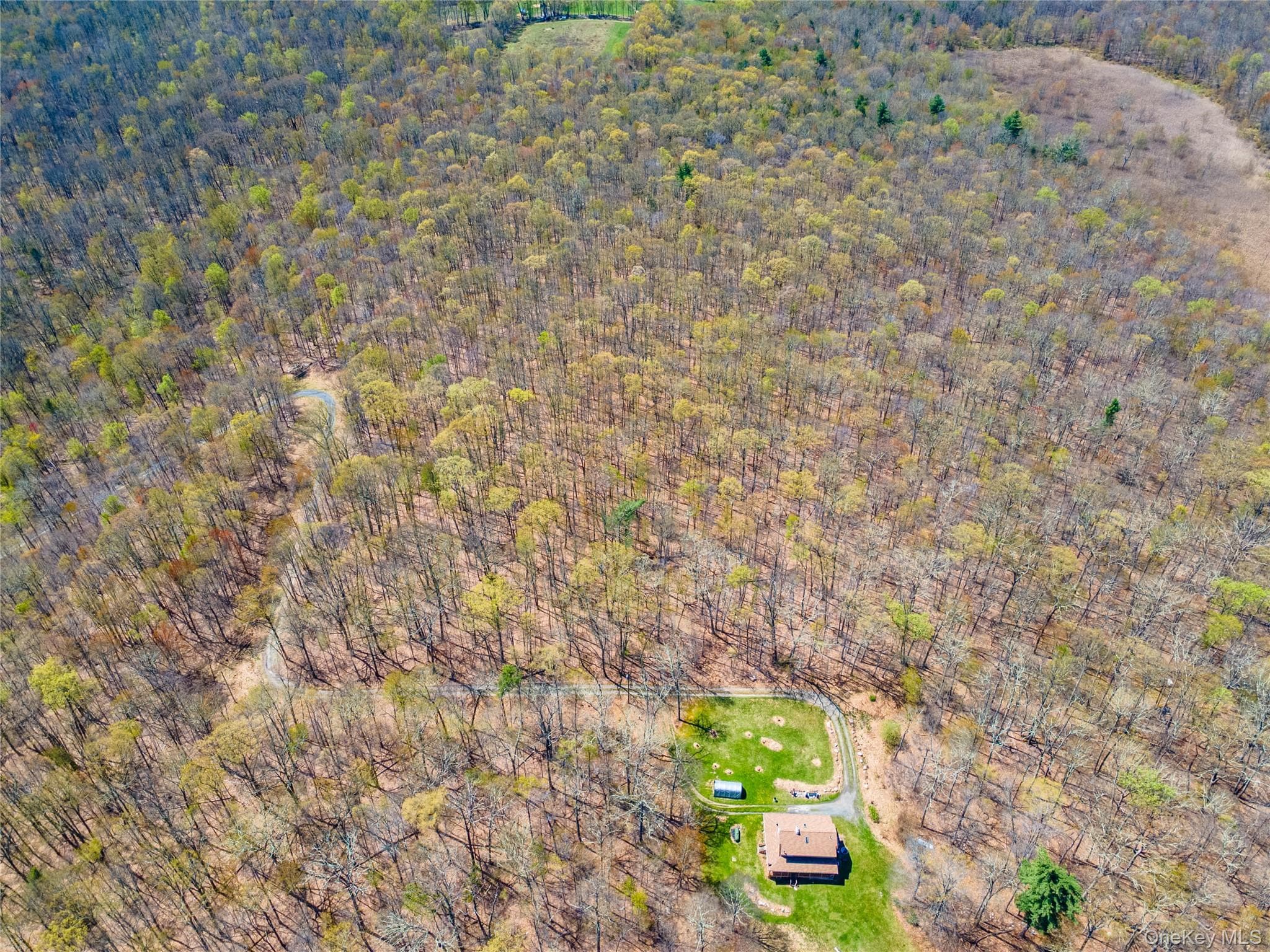 tbd Forest Glen Road thumbnail 6