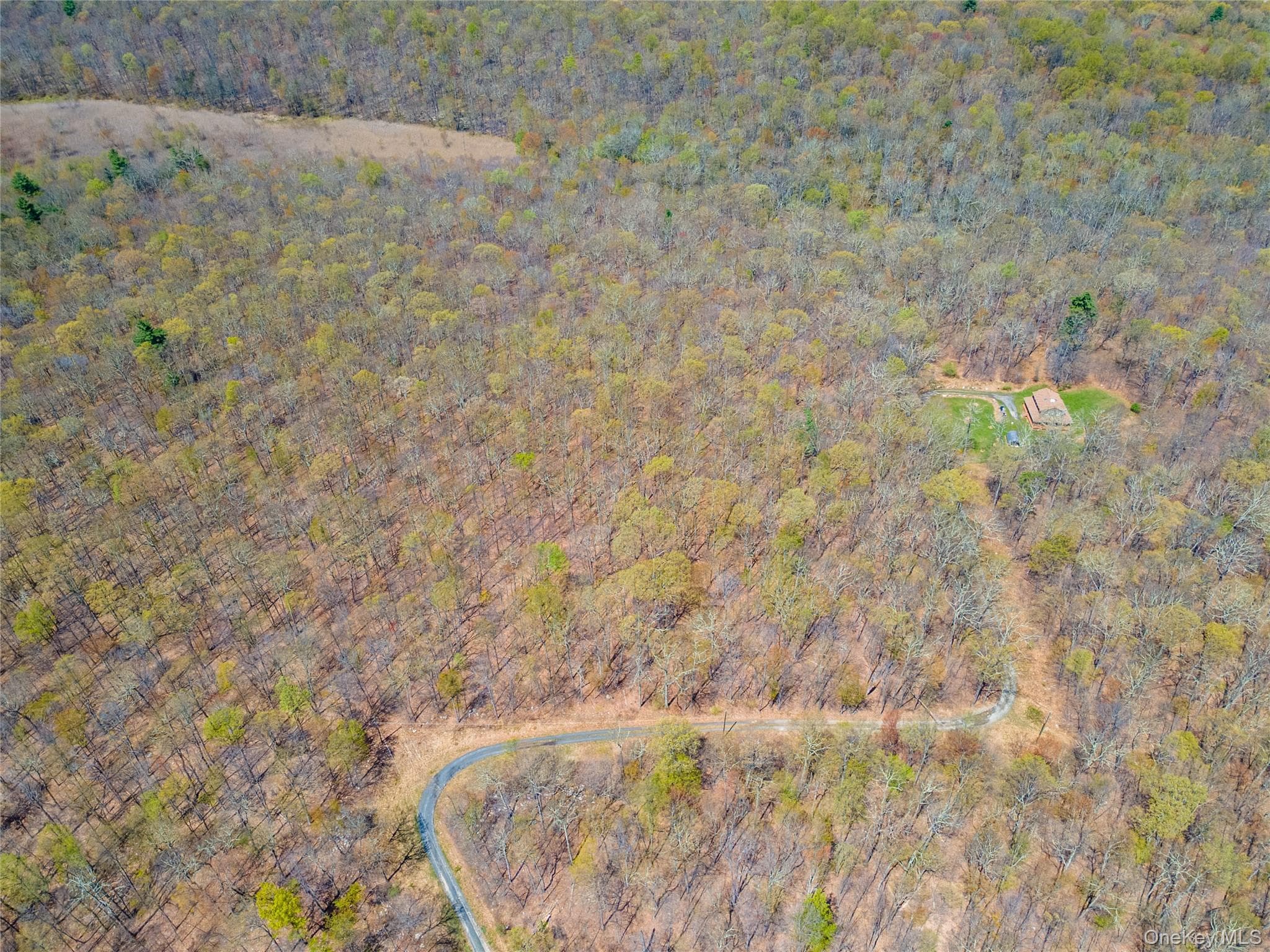 tbd Forest Glen Road thumbnail 12