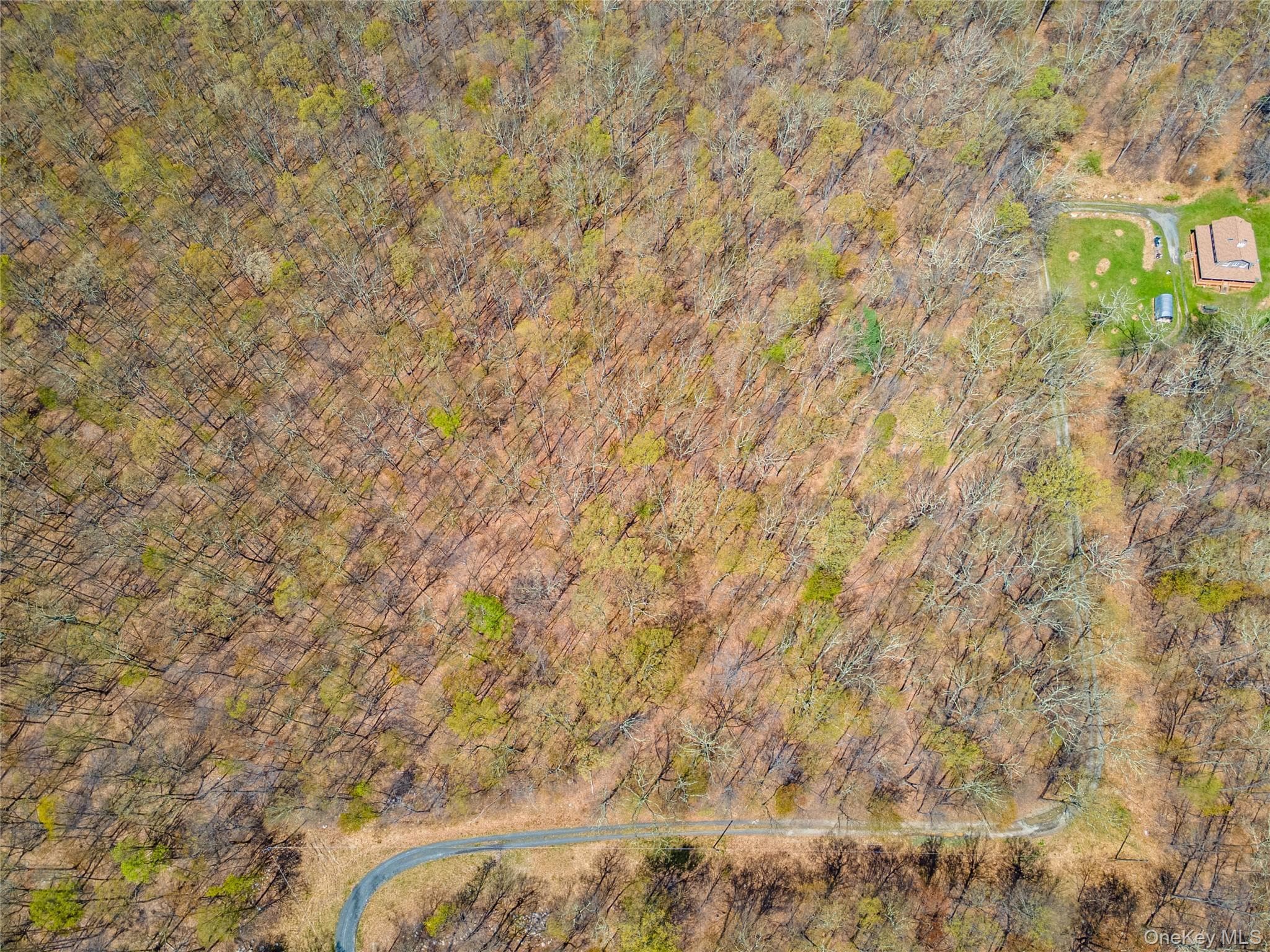 tbd Forest Glen Road thumbnail 13