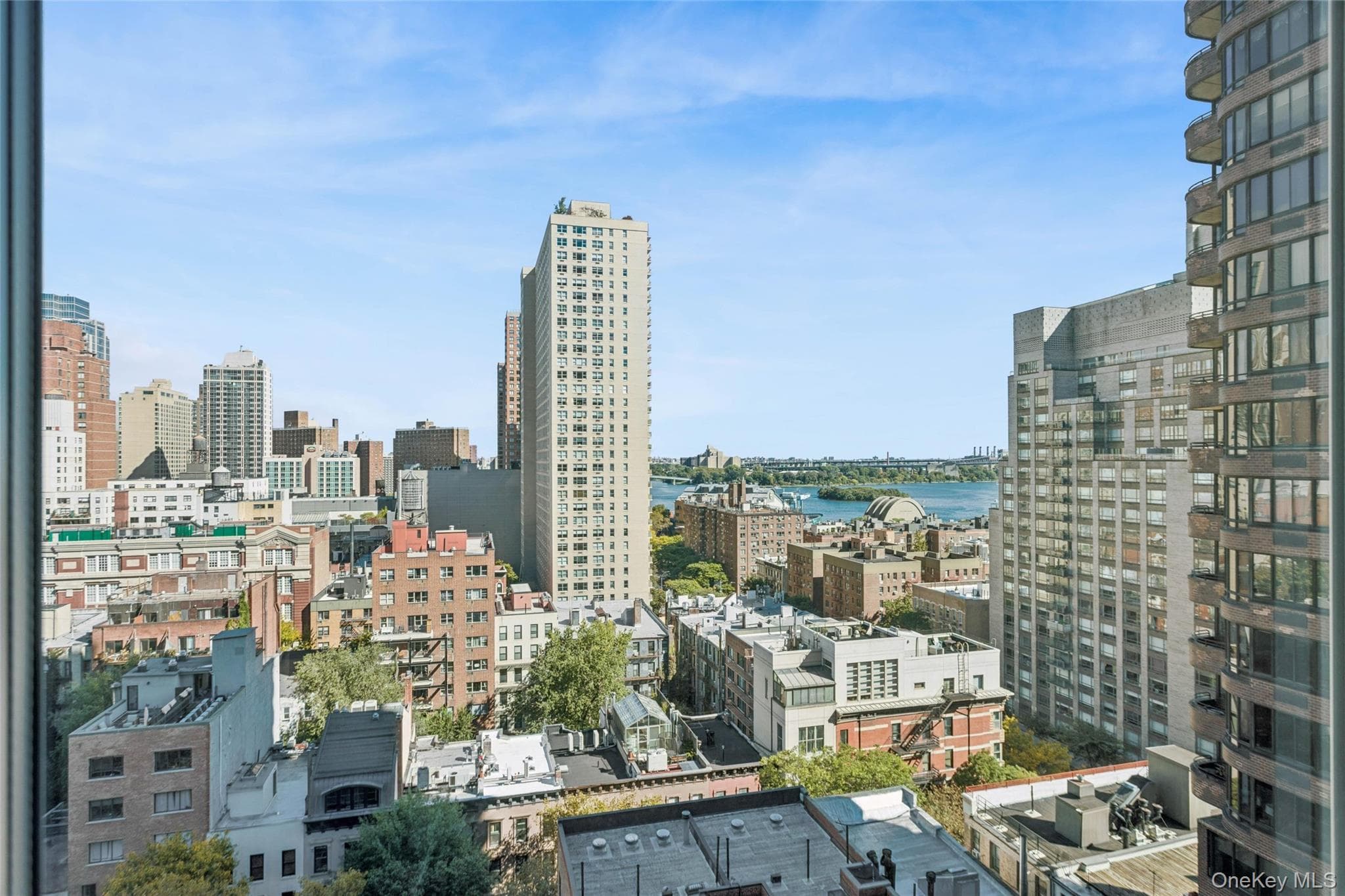 445 E 86th Street Unit: 15D thumbnail 2