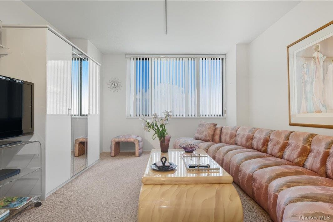 27010 Grand Central Parkway Unit: 21M thumbnail 4
