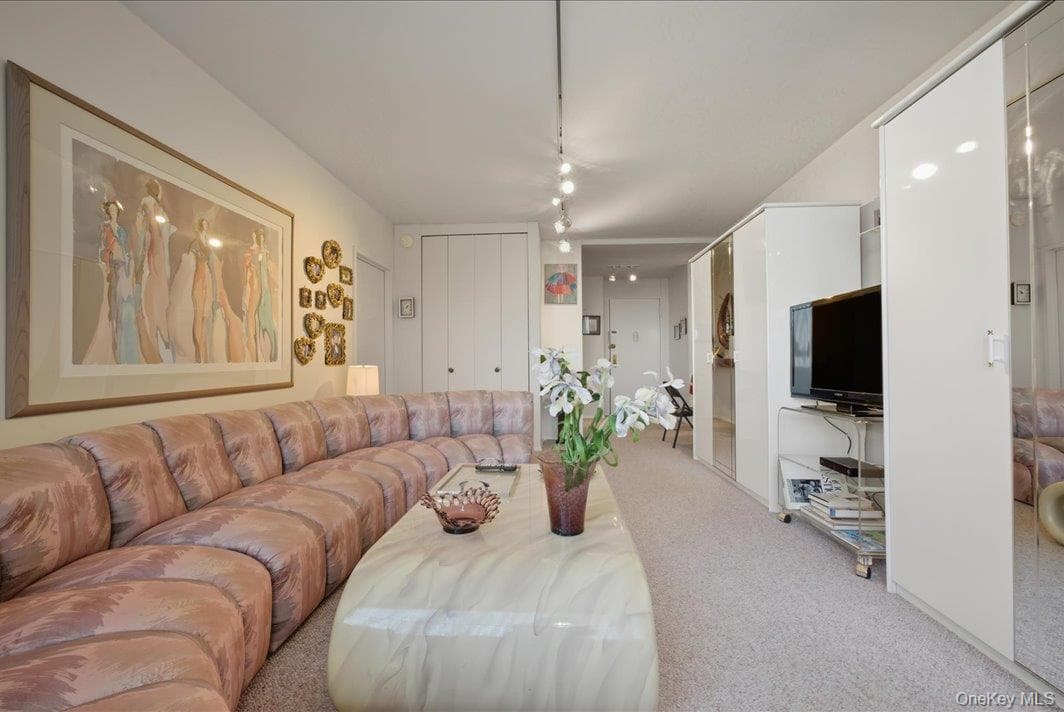 27010 Grand Central Parkway Unit: 21M thumbnail 6