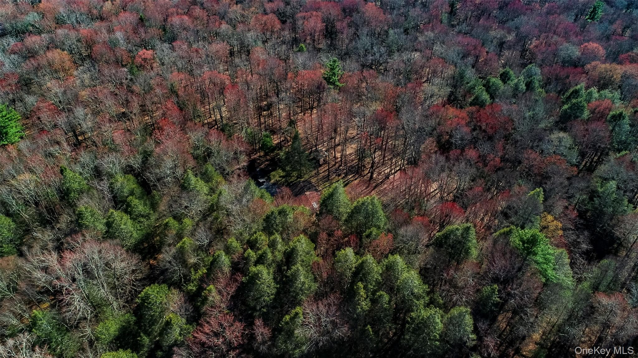 Lot 2 Deer Meadow Road thumbnail 5