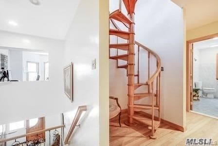 31 Bevin Road thumbnail 28