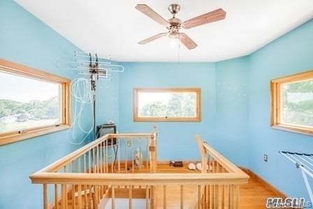 31 Bevin Road thumbnail 29