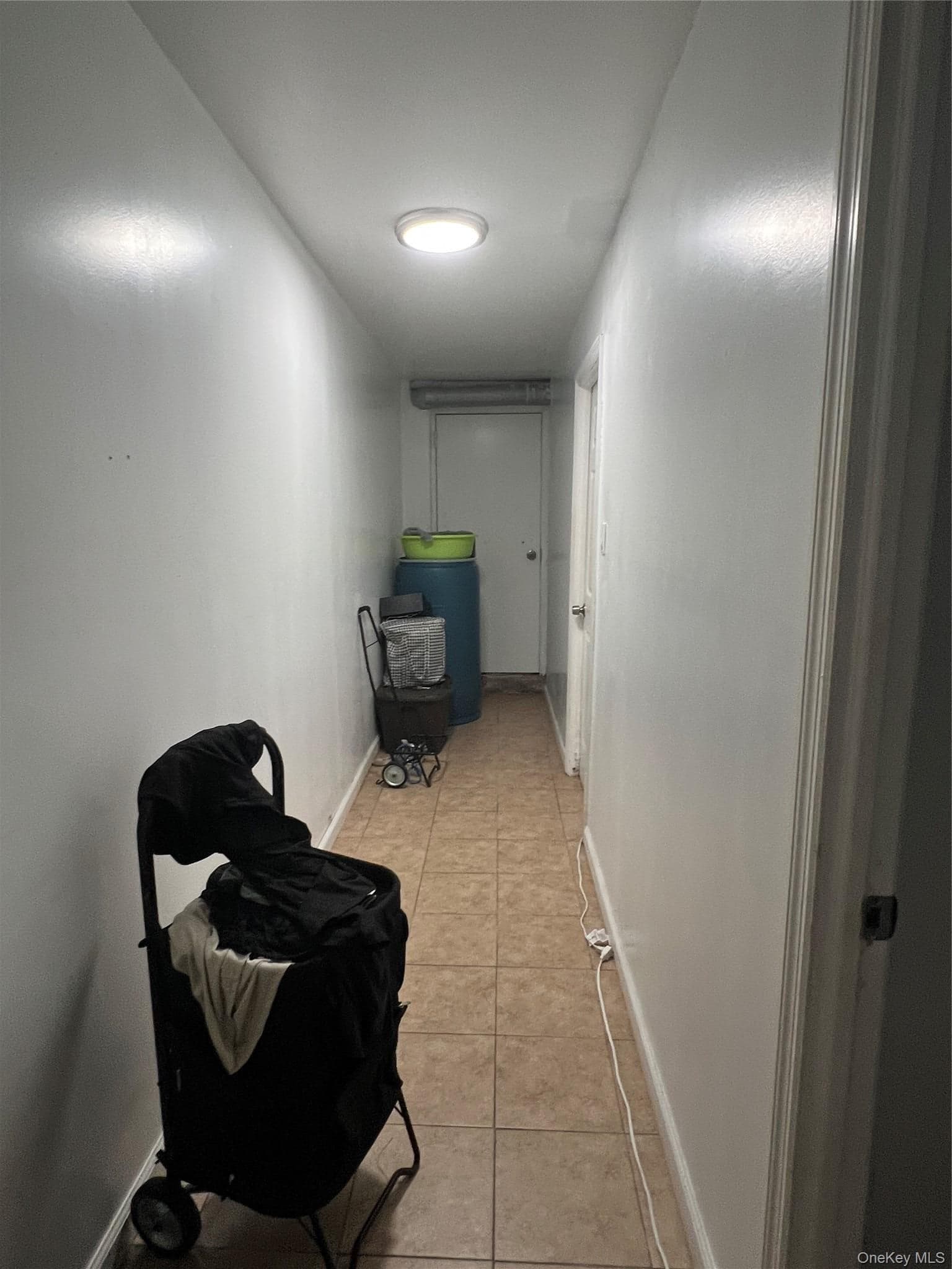 877 Elsmere Place Pl thumbnail 29