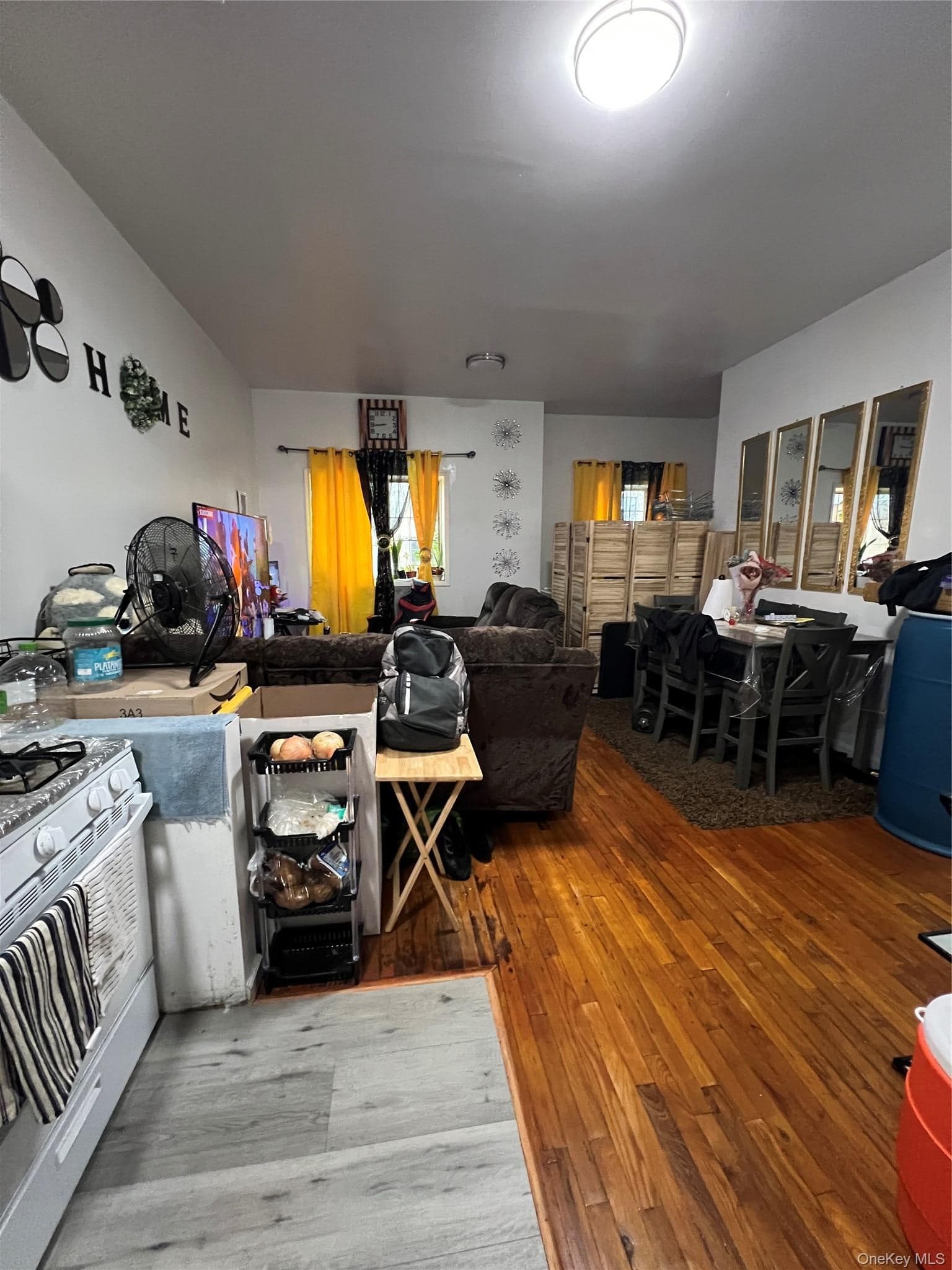 877 Elsmere Place Pl thumbnail 16