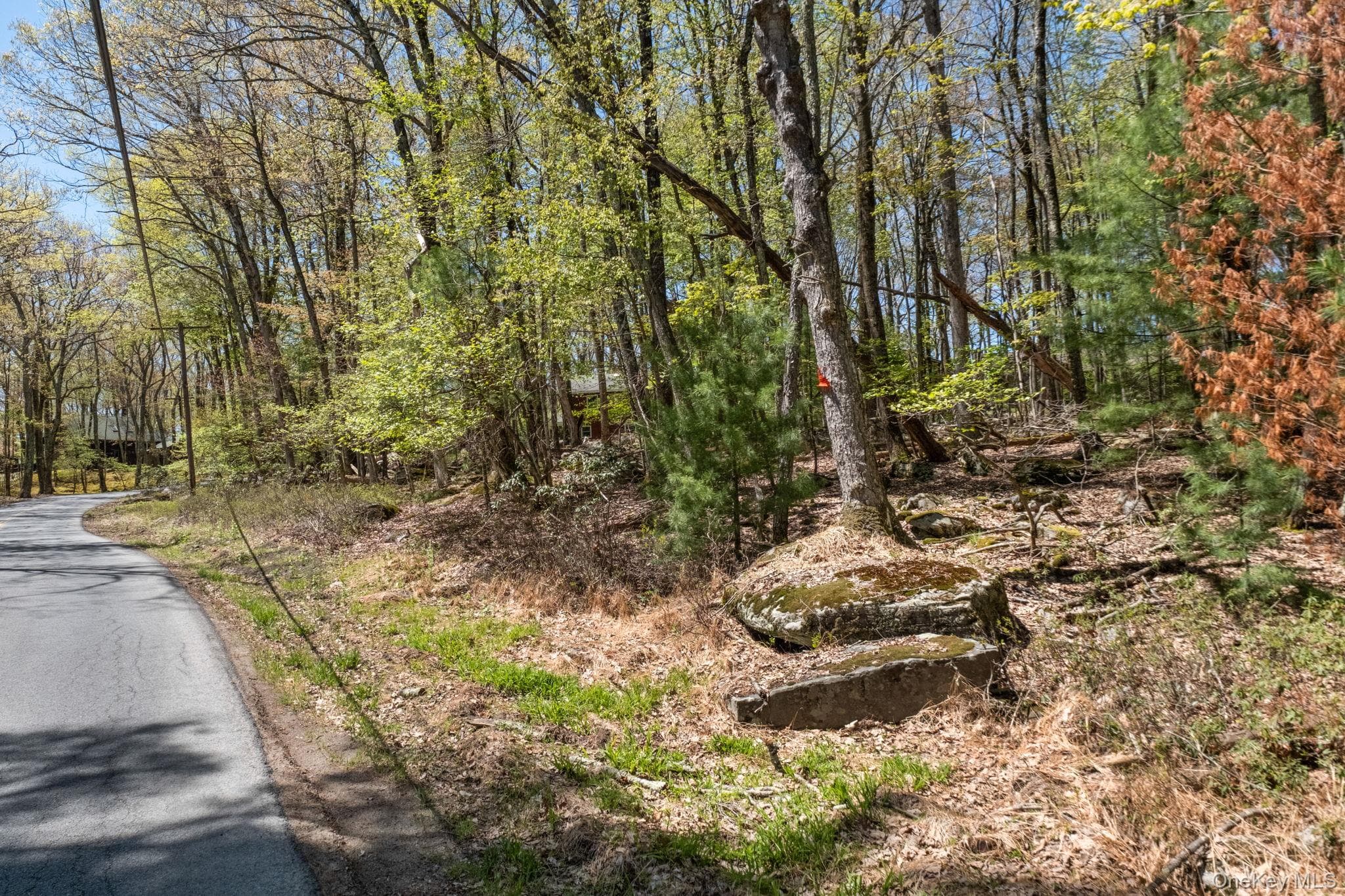 Wolf Pond Road thumbnail 11