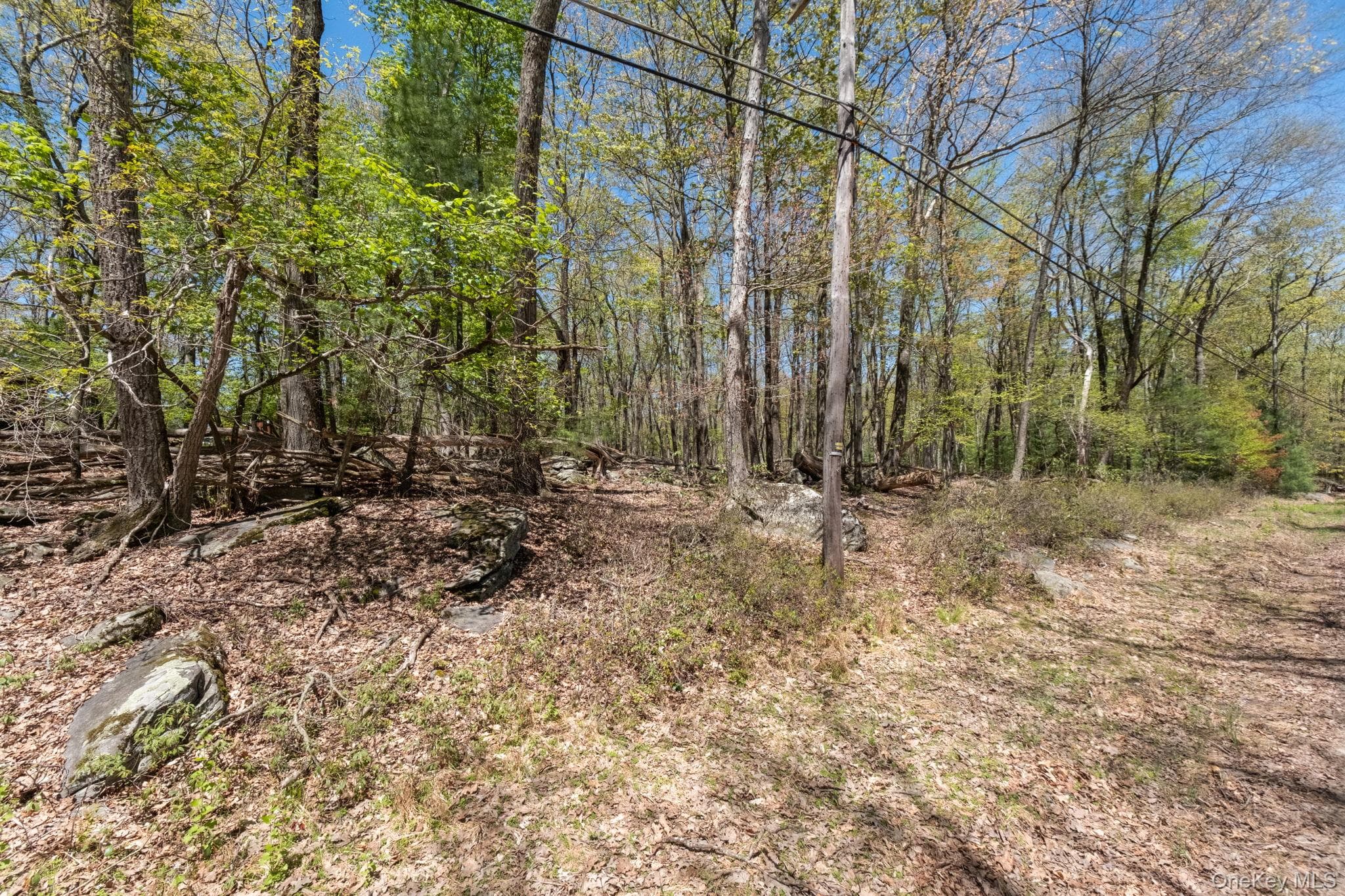 Wolf Pond Road thumbnail 9