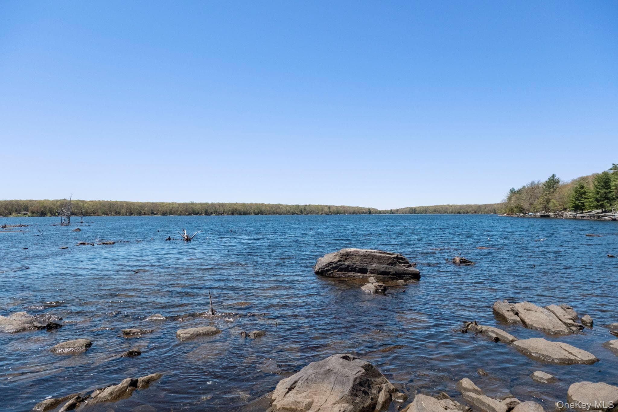 Wolf Pond Road thumbnail 5