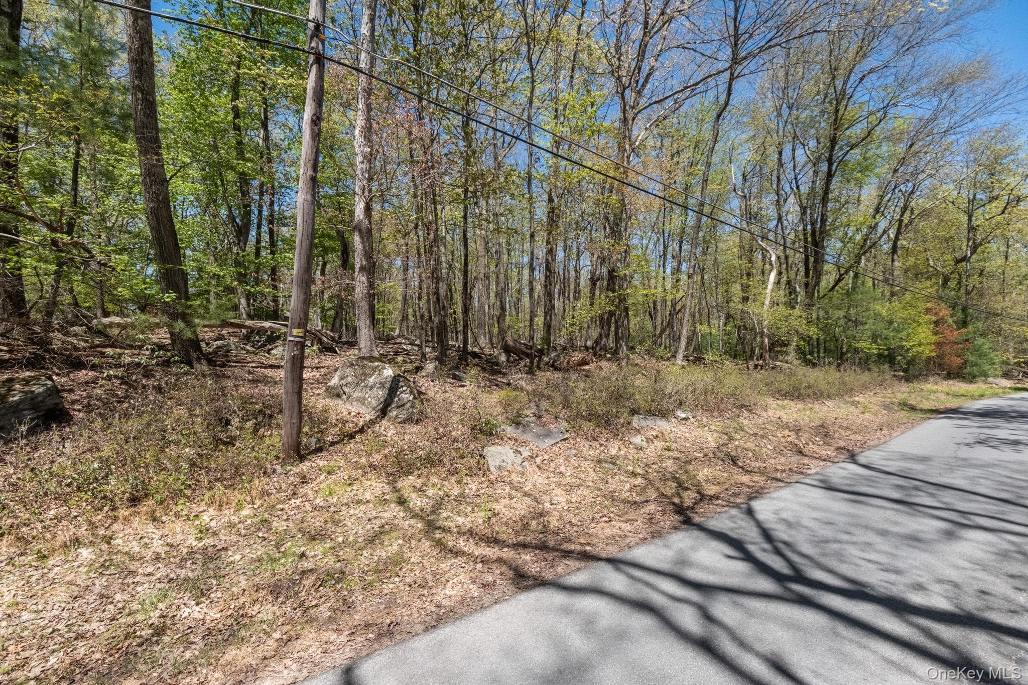 Wolf Pond Road thumbnail 7