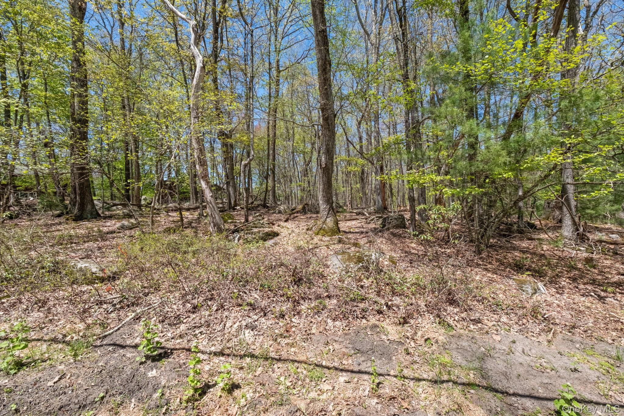 Wolf Pond Road thumbnail 12
