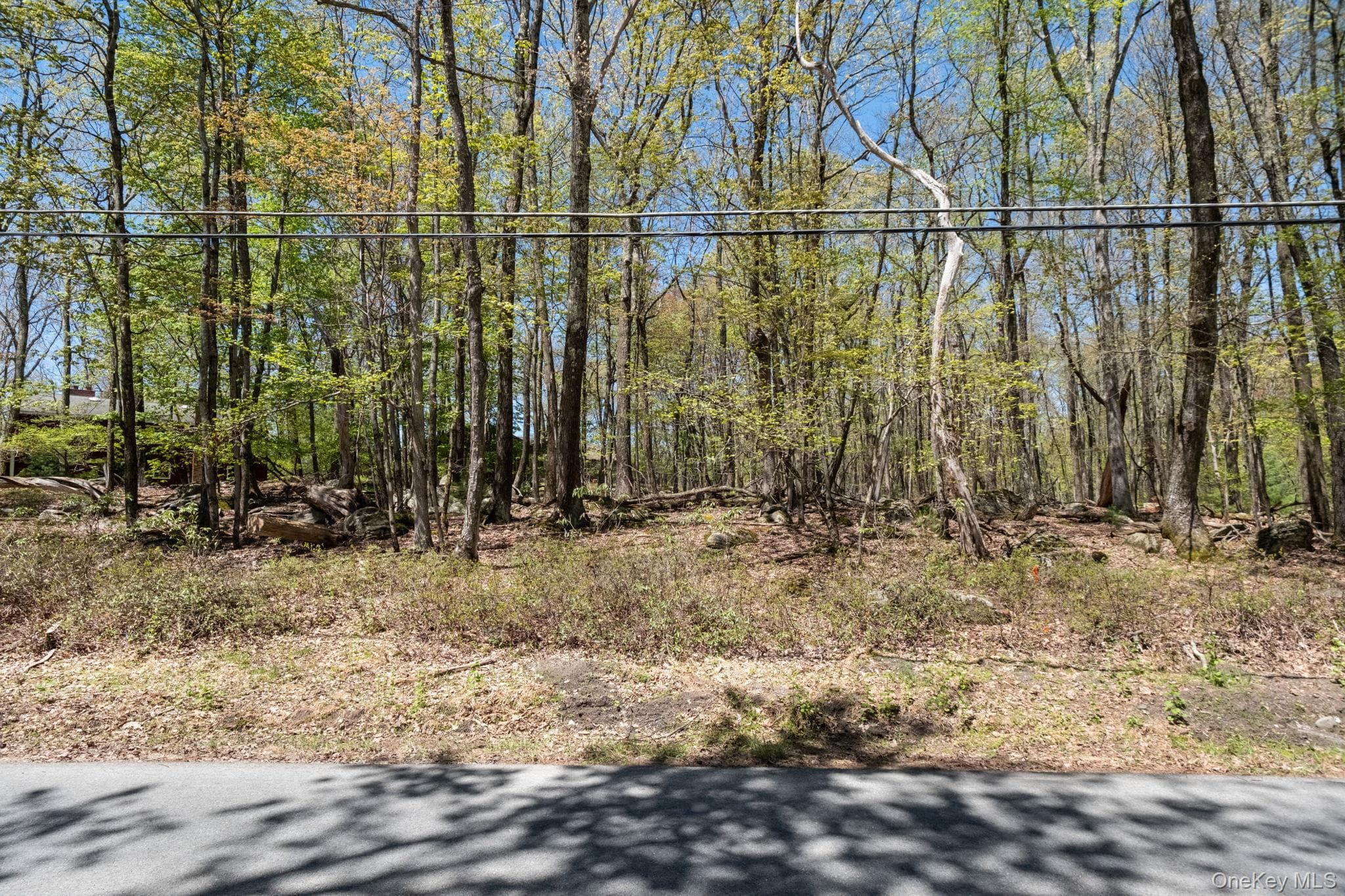 Wolf Pond Road thumbnail 6