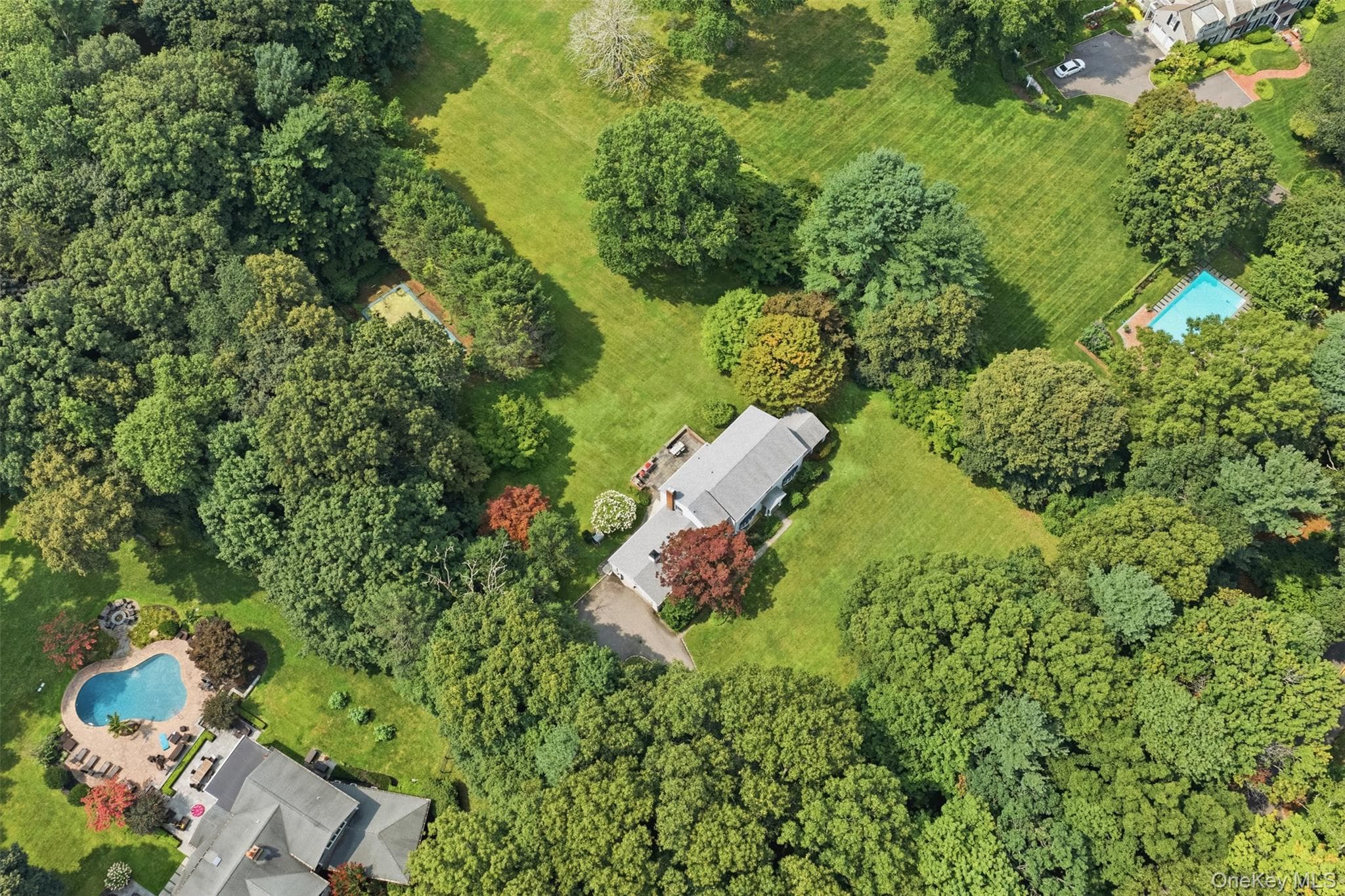 897 Ripley Lane thumbnail 44