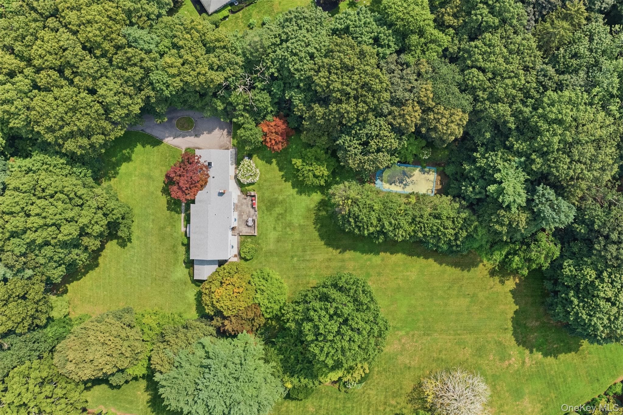 897 Ripley Lane thumbnail 42