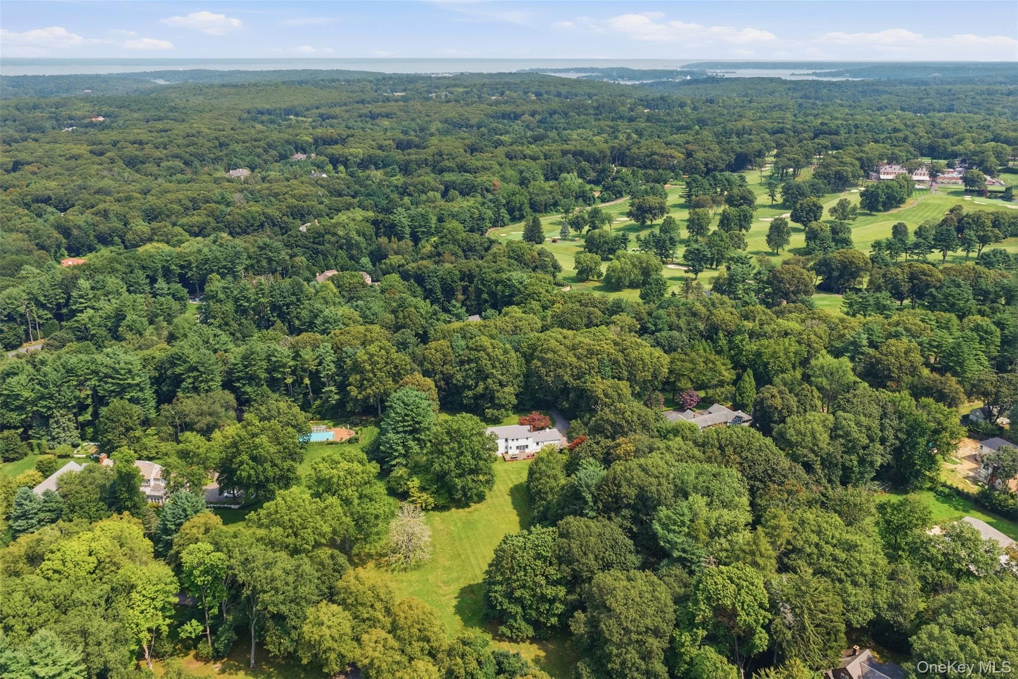 897 Ripley Lane thumbnail 41