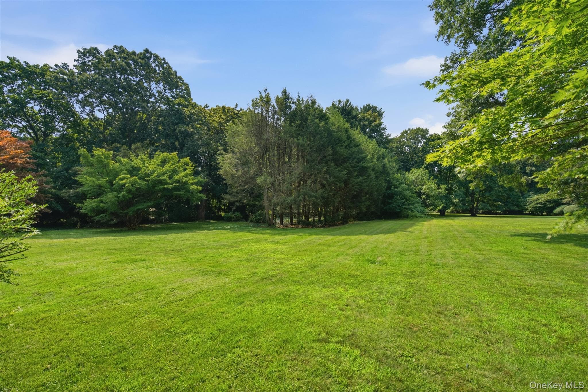 897 Ripley Lane thumbnail 38