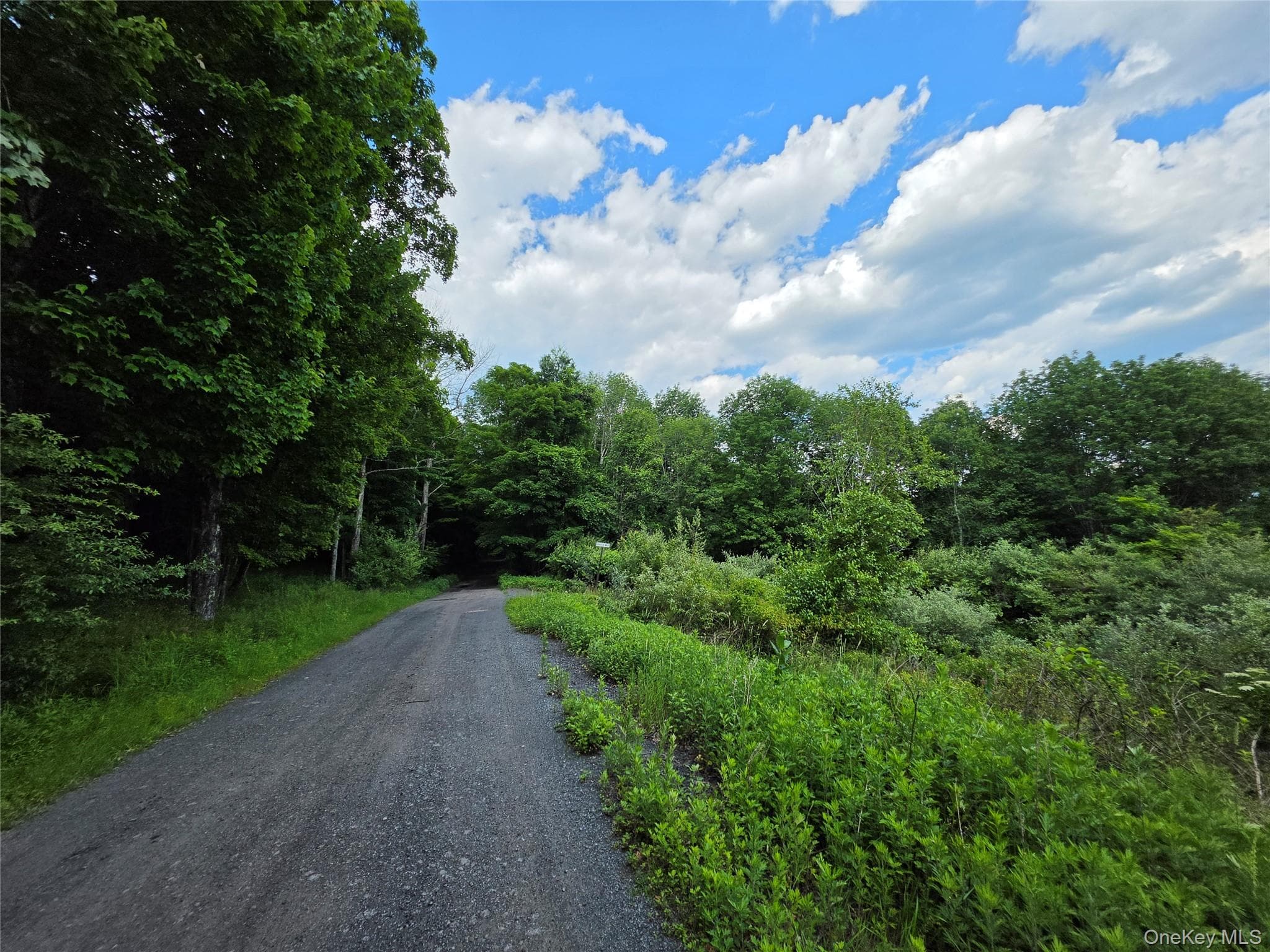 TBD Timberwolf Road thumbnail 6