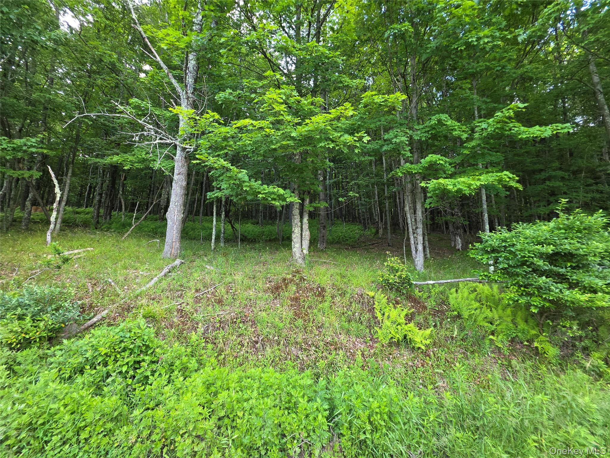 TBD Timberwolf Road thumbnail 22