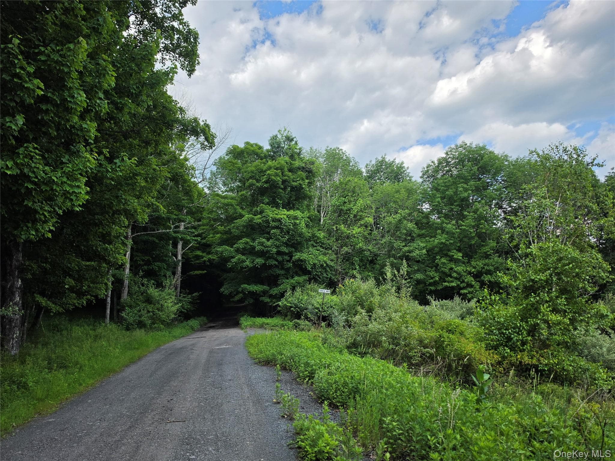 TBD Timberwolf Road thumbnail 19