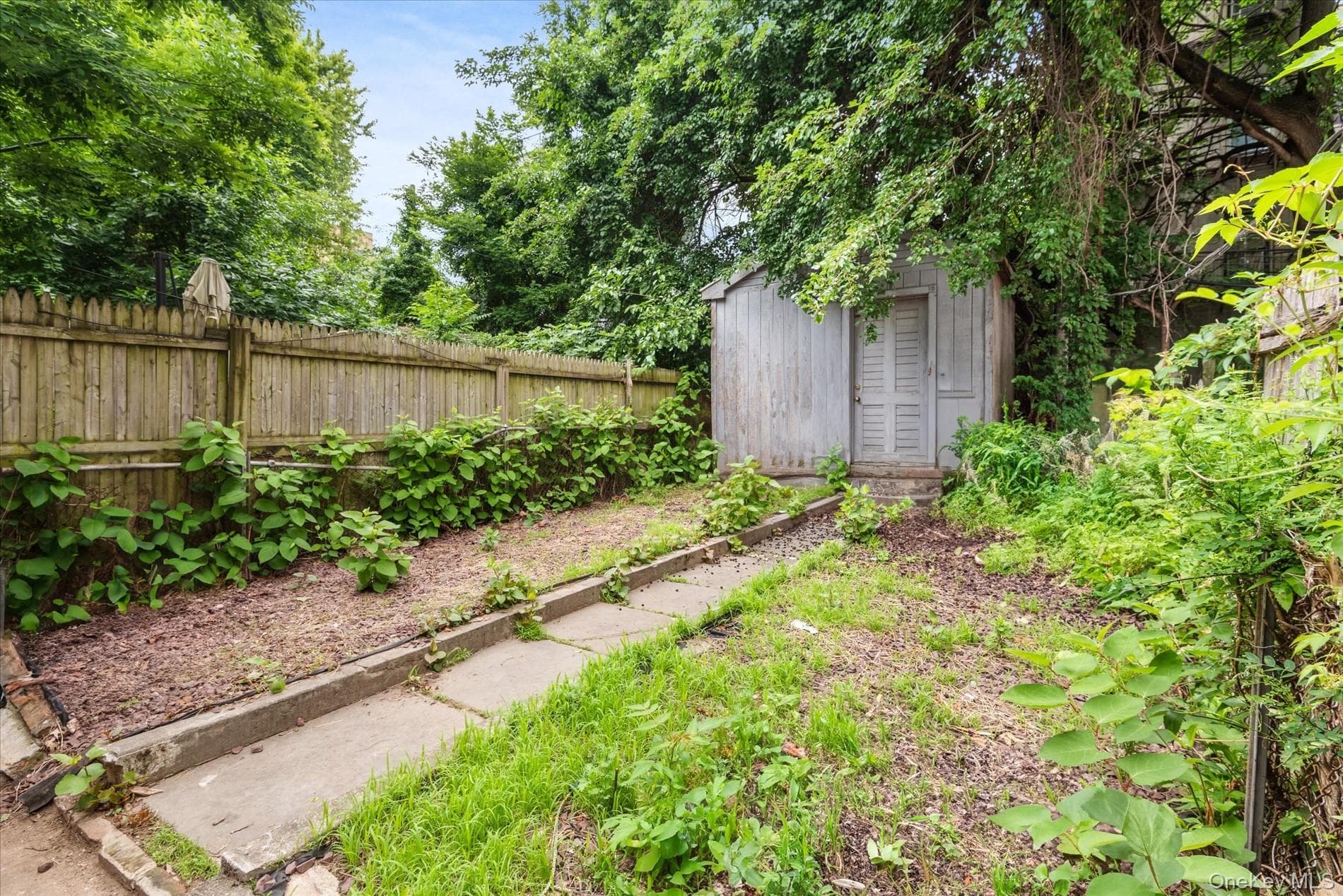 1241 Putnam Avenue thumbnail 13