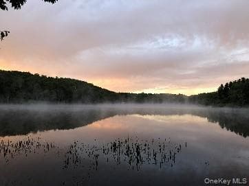 238 Trout Brook Road thumbnail 29