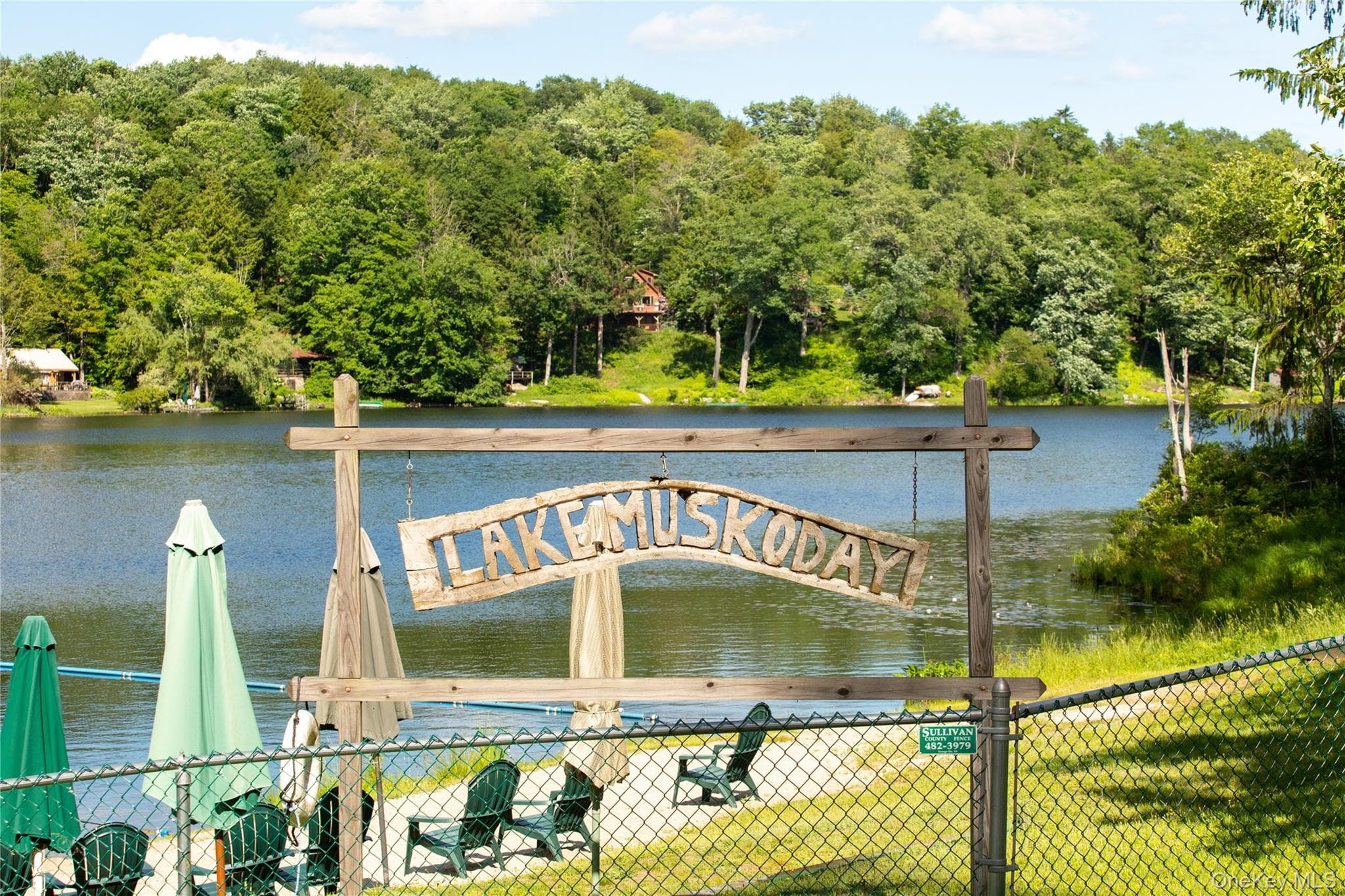 238 Trout Brook Road thumbnail 28