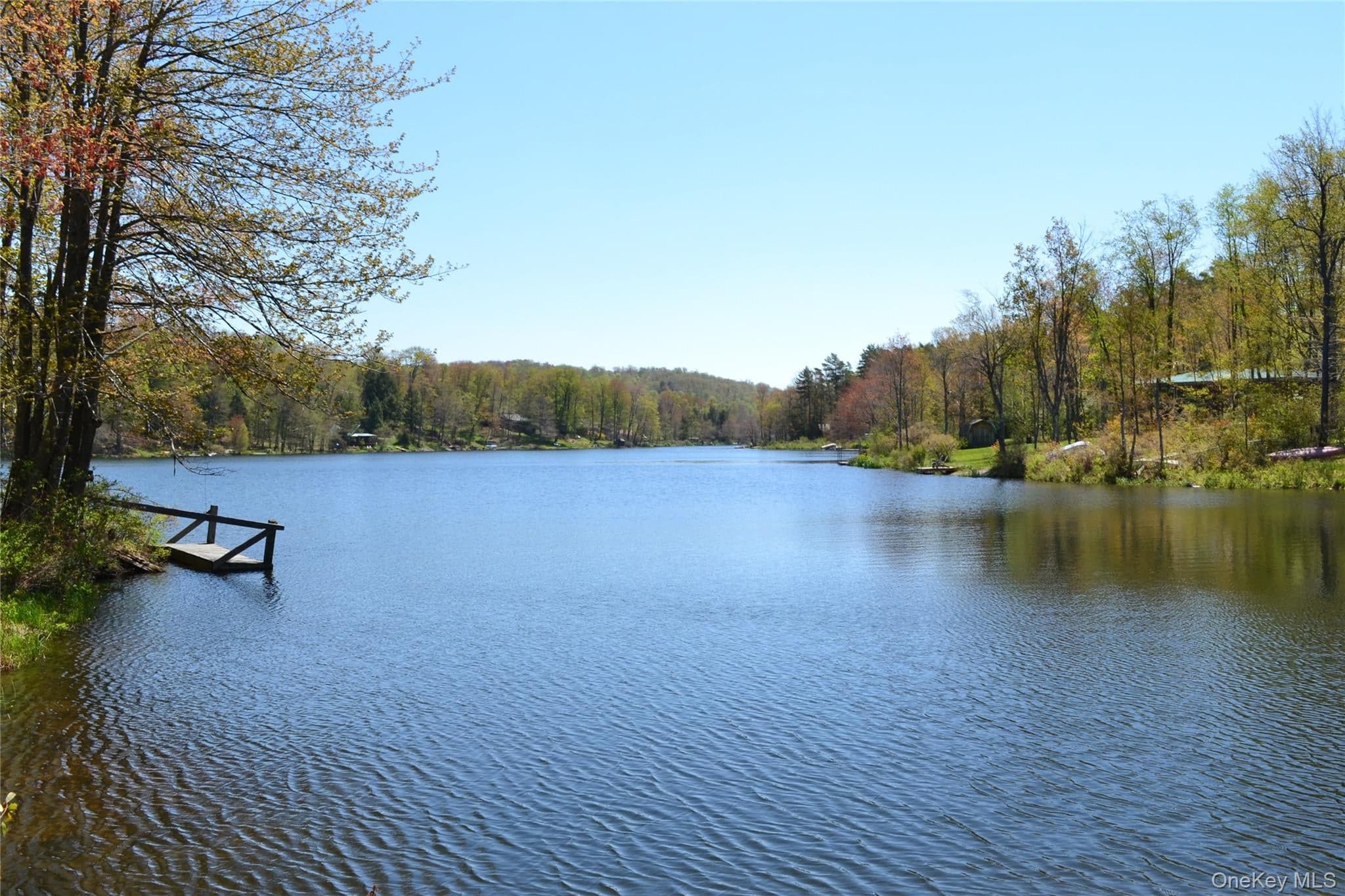 238 Trout Brook Road thumbnail 31