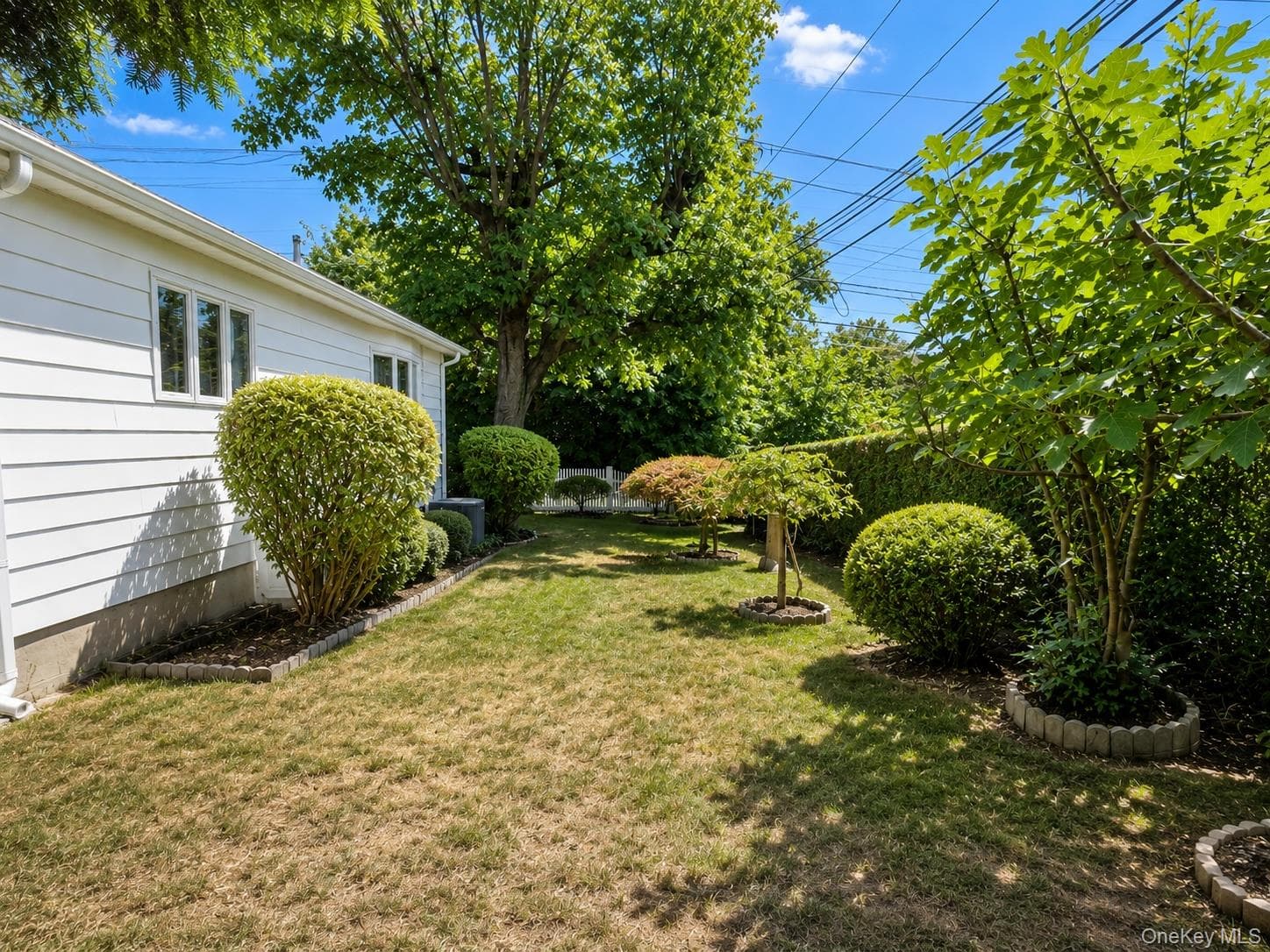 67 King Road thumbnail 34