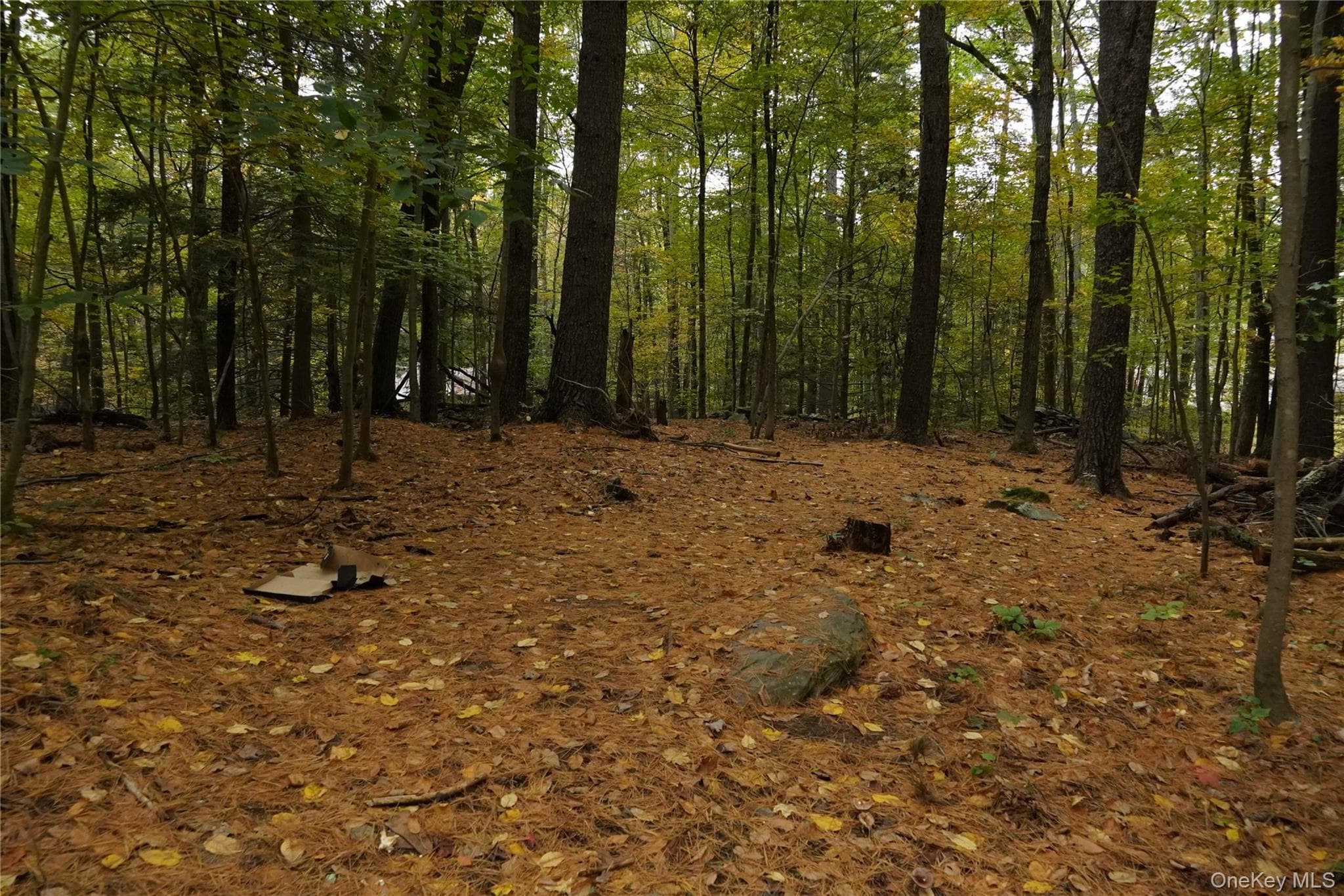 19 Stoutenburgh Drive thumbnail 3