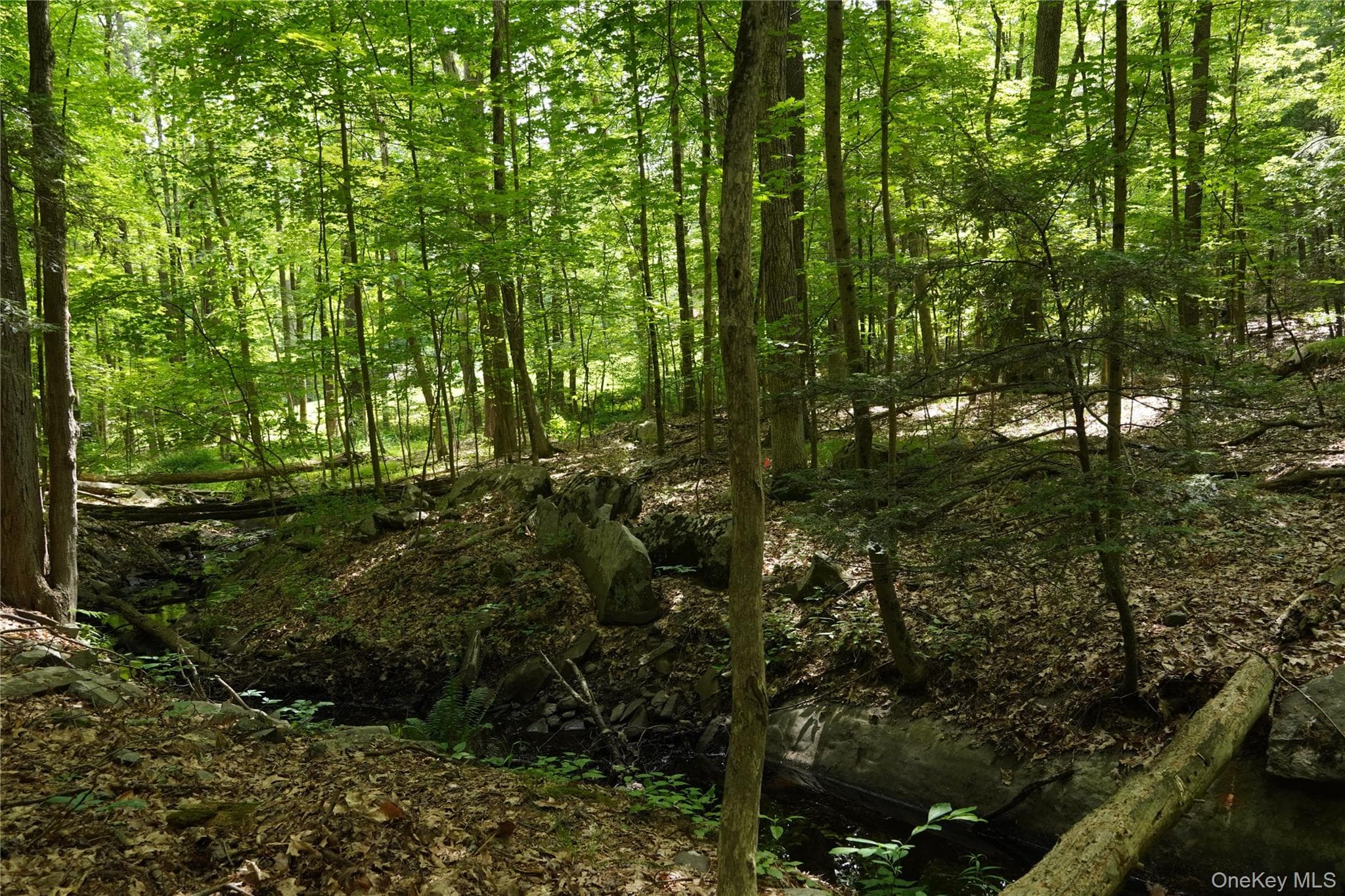 19 Stoutenburgh Drive thumbnail 2