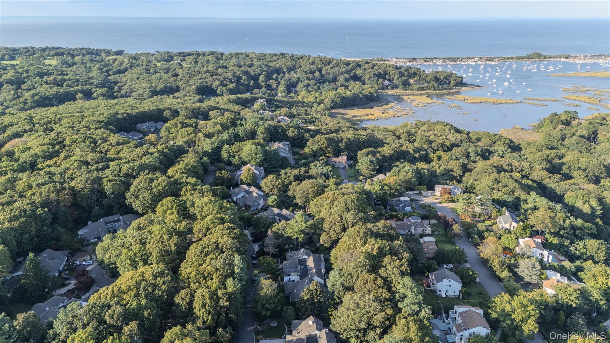 55 Rockledge Path thumbnail 41