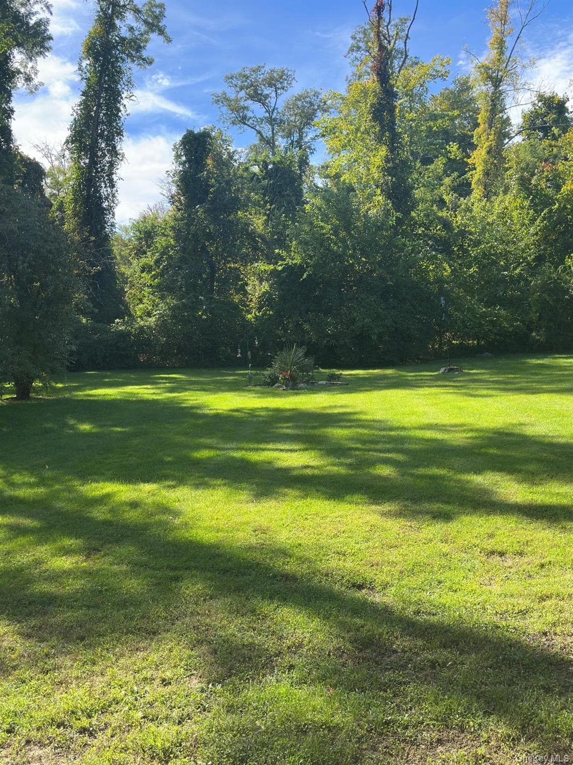 5 Meadow Drive thumbnail 16
