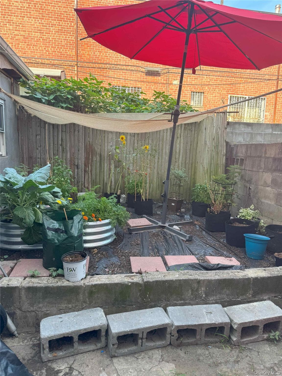 761 Miller Avenue thumbnail 4
