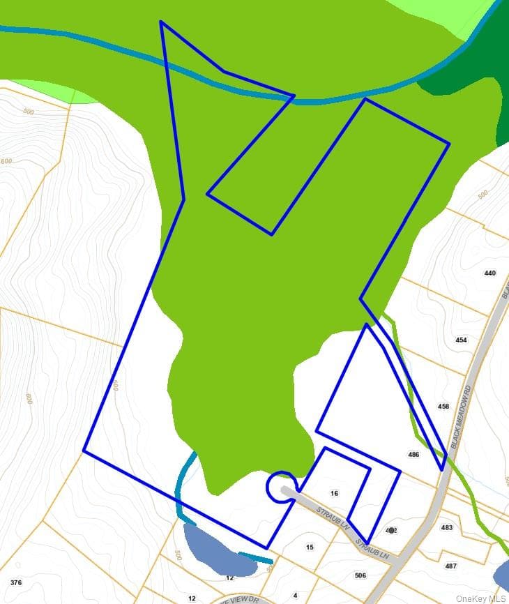 492 Black Meadow Road thumbnail 17