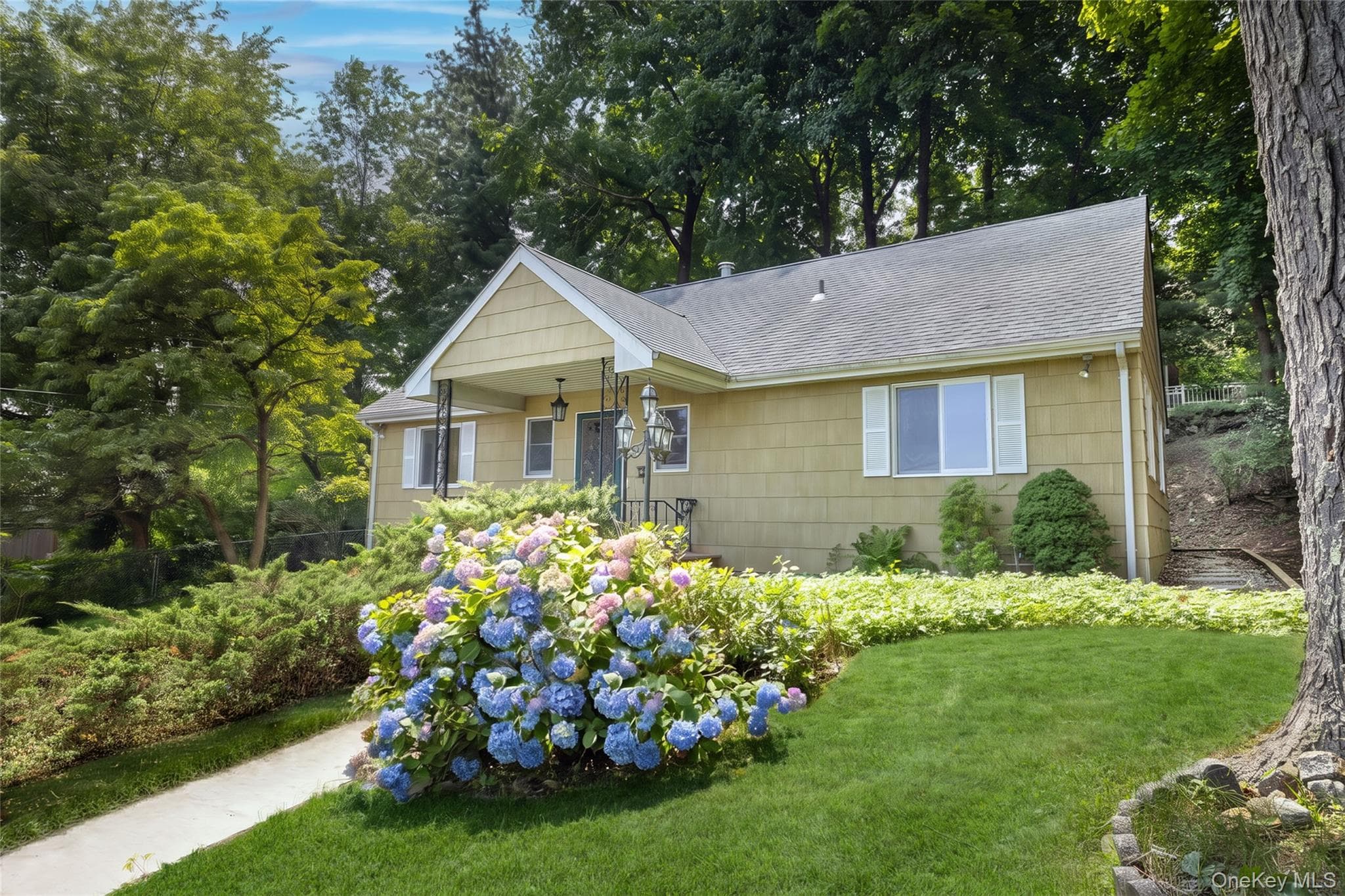 64 Bradley Street photo 1