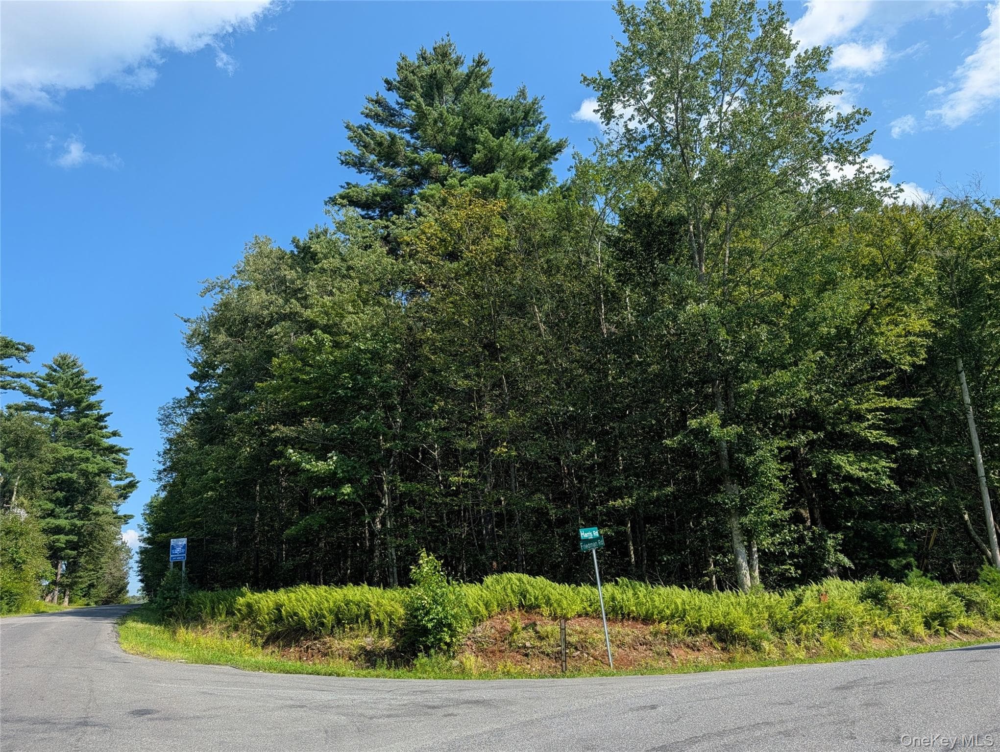 Harris Road thumbnail 2