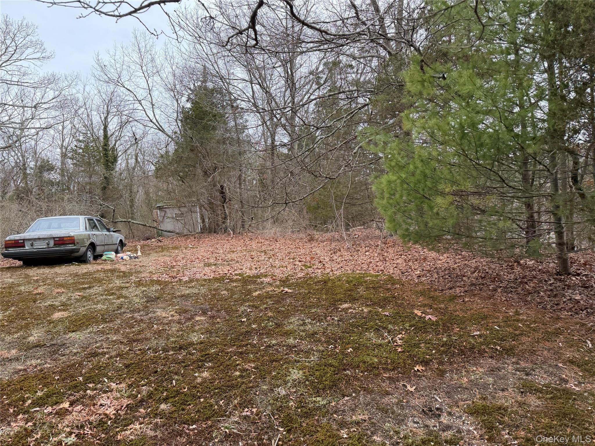171 Stony Hollow Road thumbnail 2