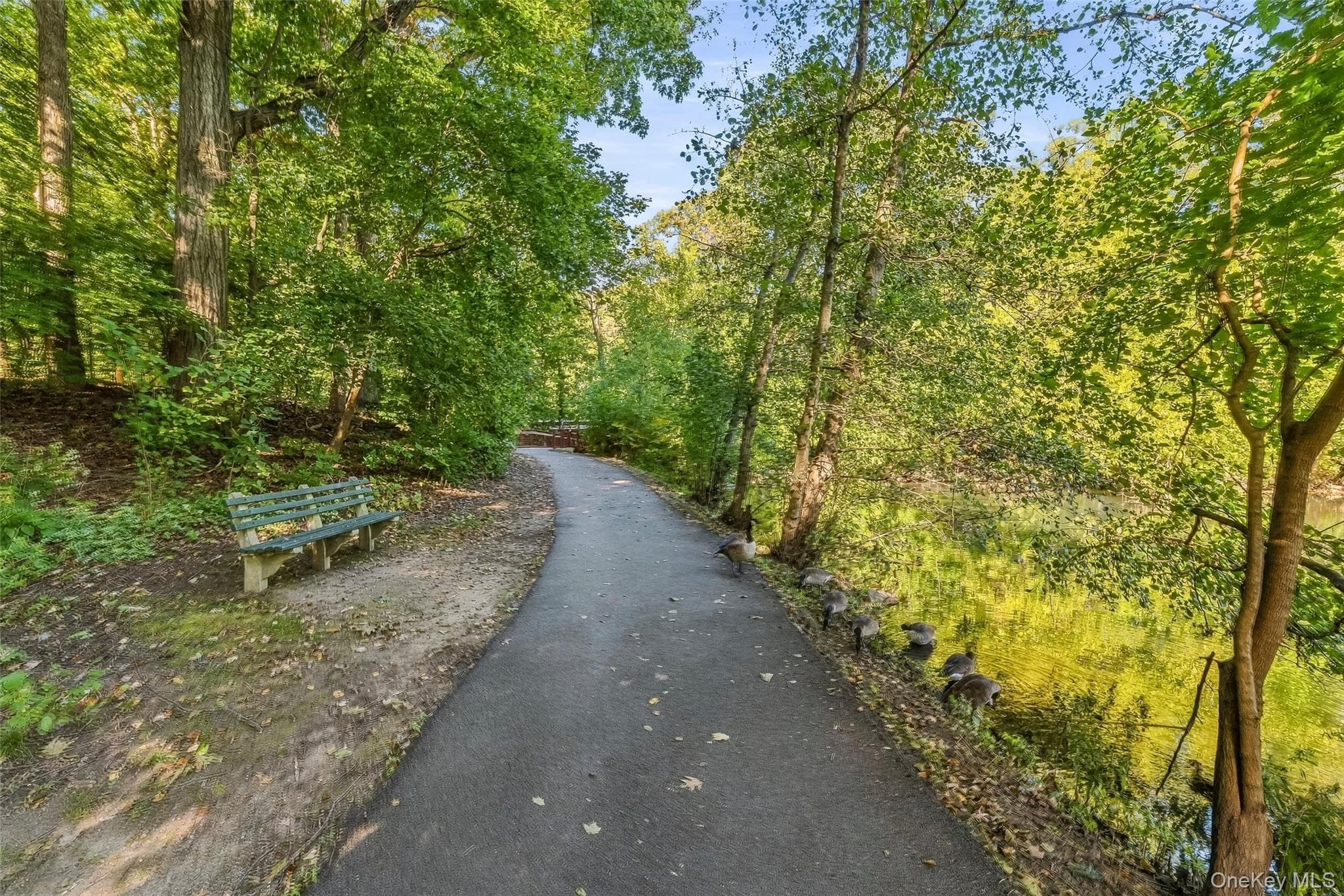 72 Pondfield Road Unit: 4C thumbnail 28